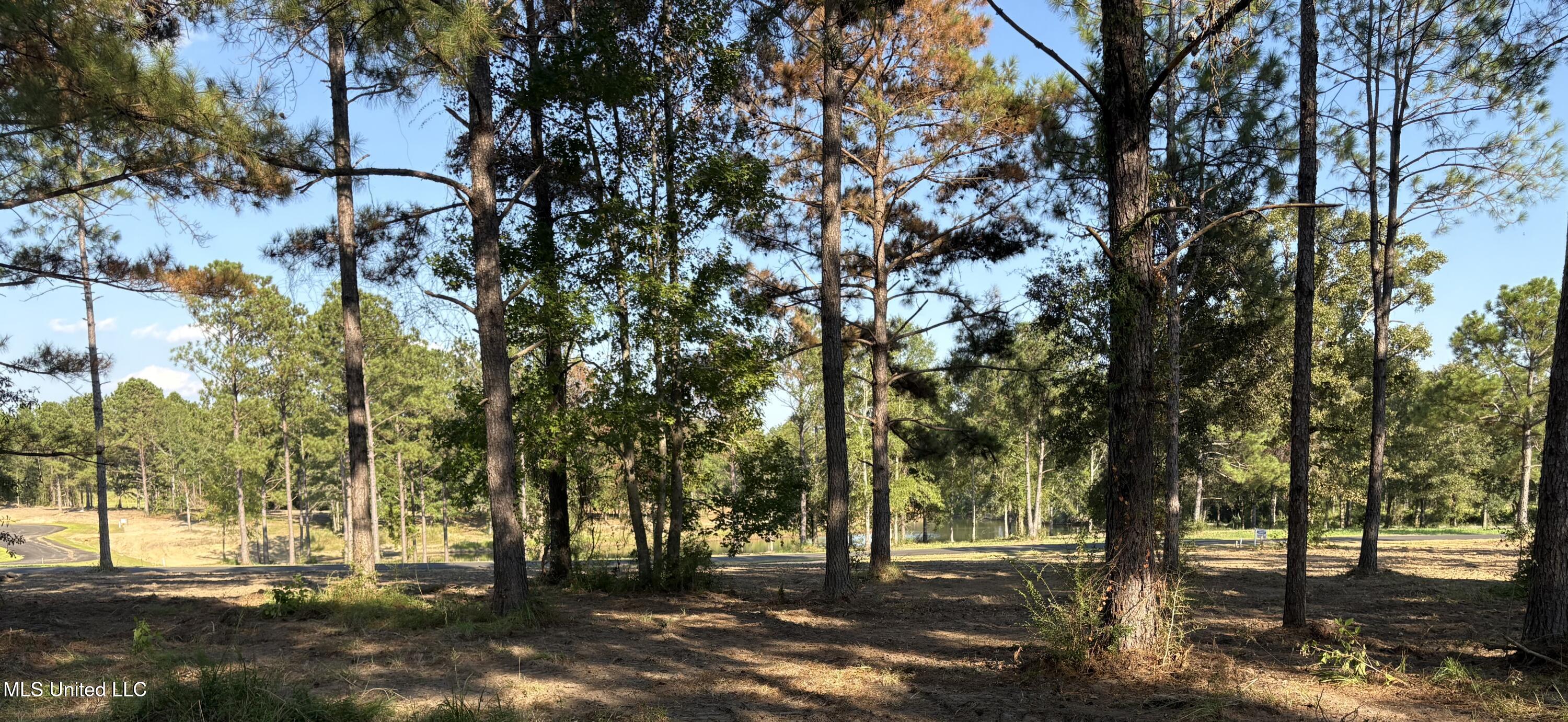 Shellcracker Property Photo 1