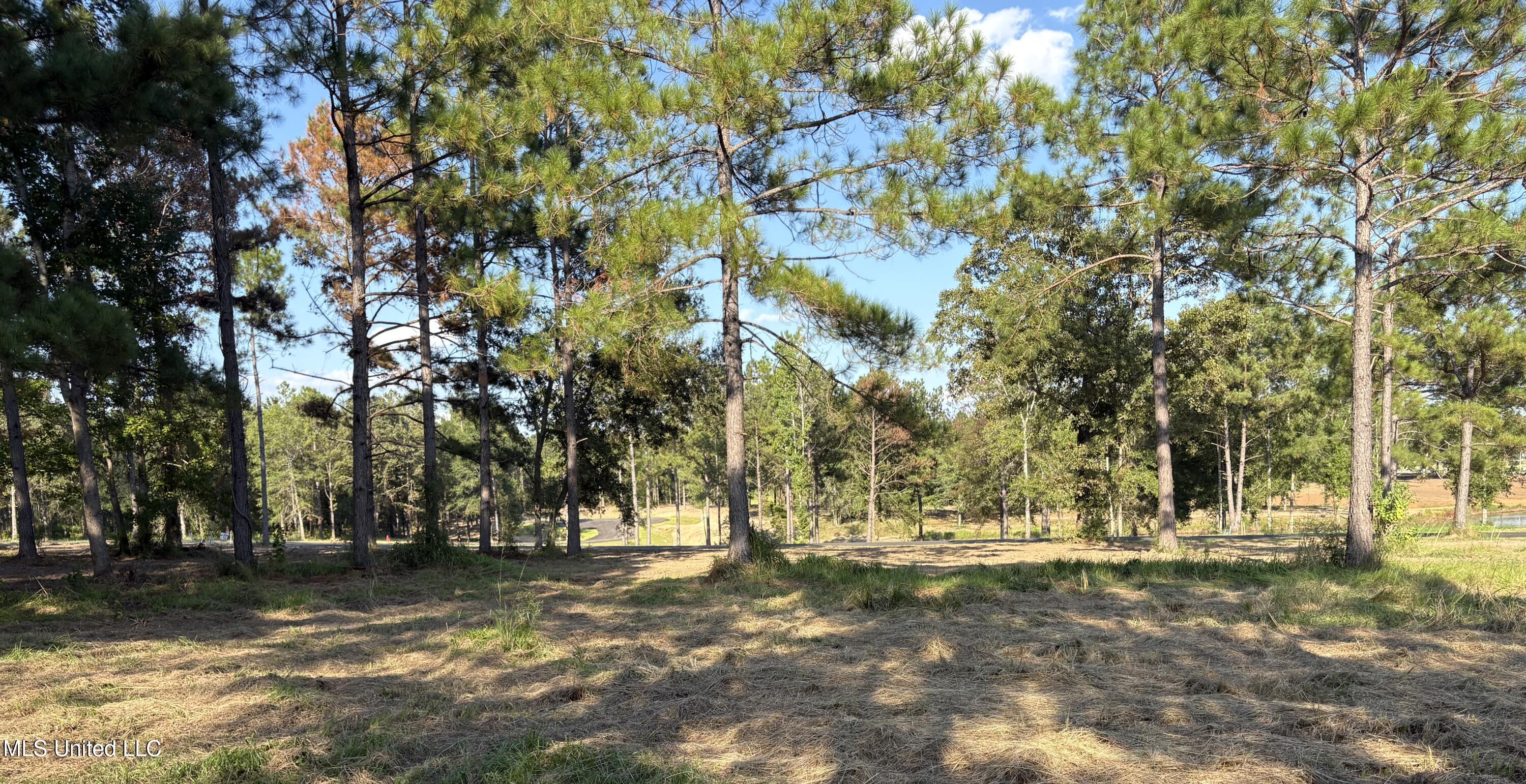 Shellcracker Drive Property Photo 1