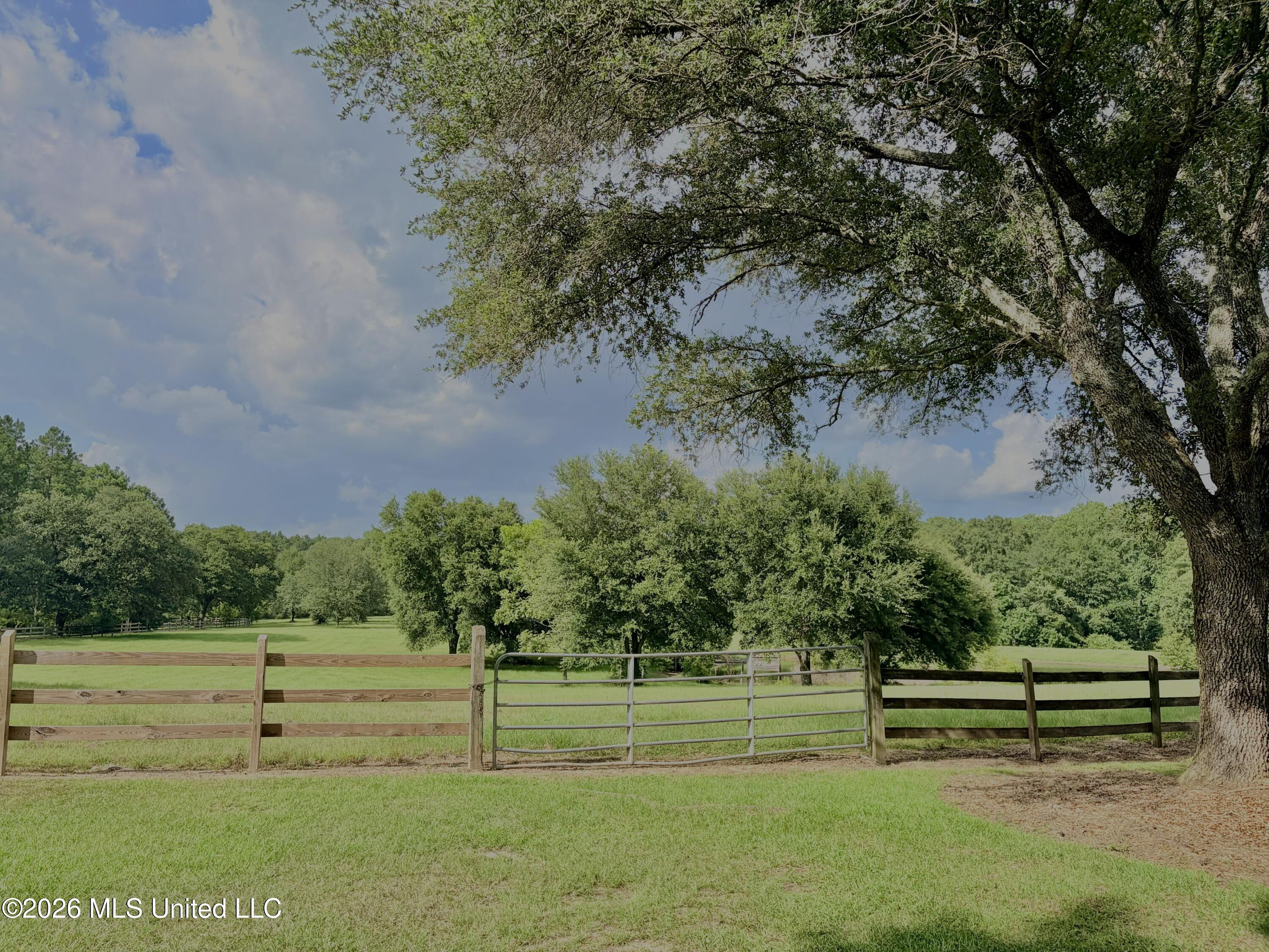 299 Quitman Perry Road Property Photo 63