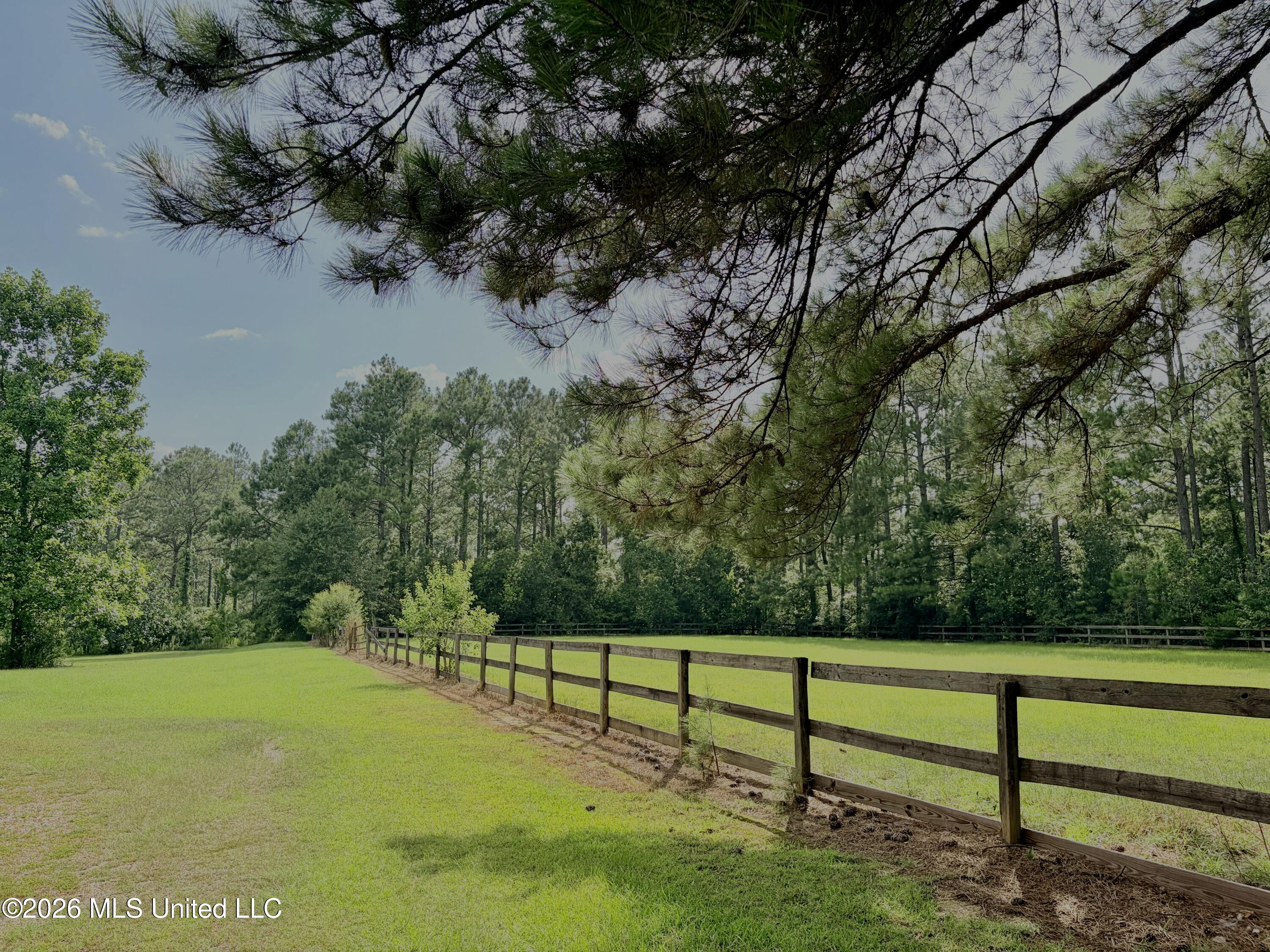 299 Quitman Perry Road Property Photo 64
