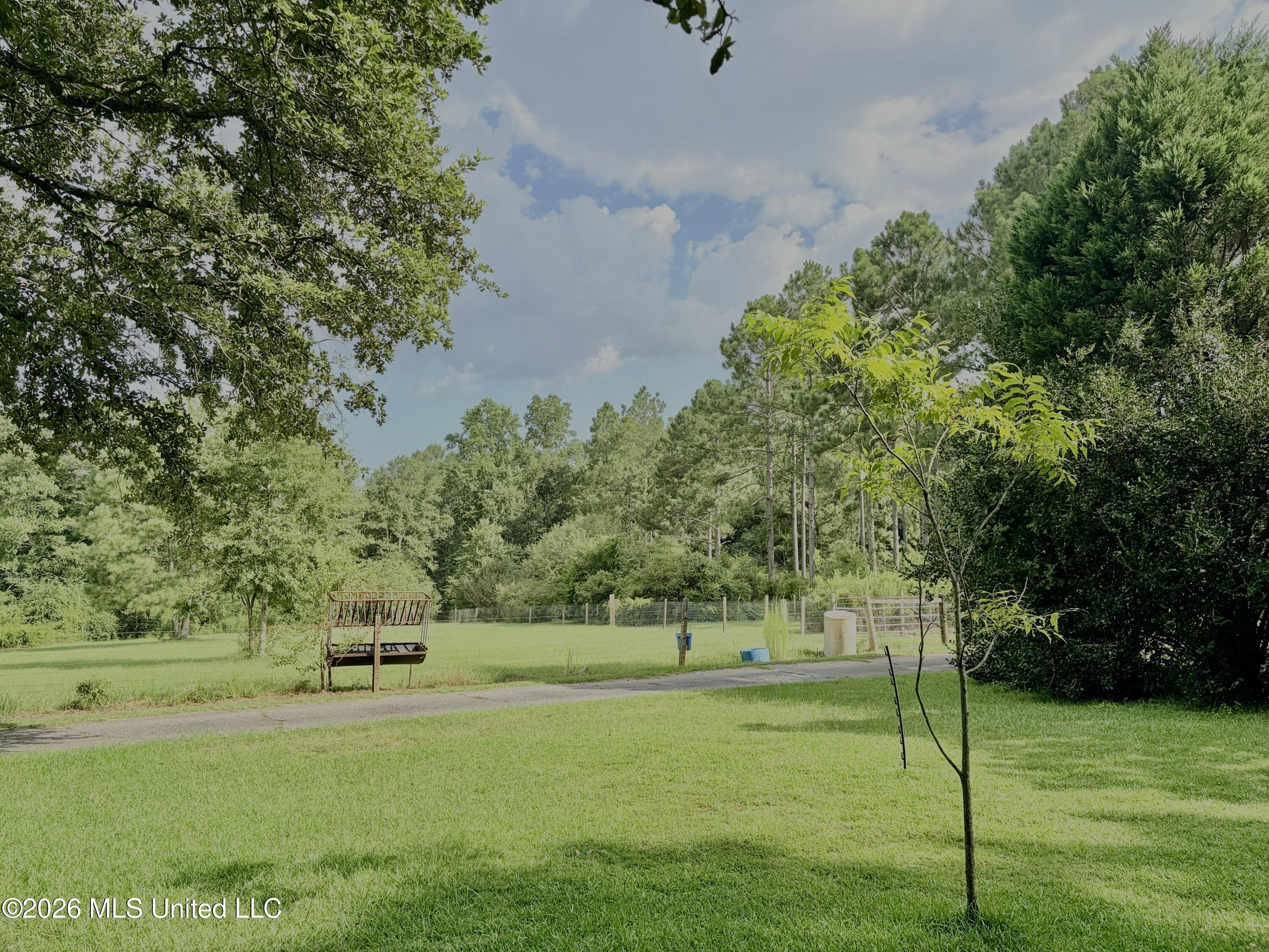 299 Quitman Perry Road Property Photo 66