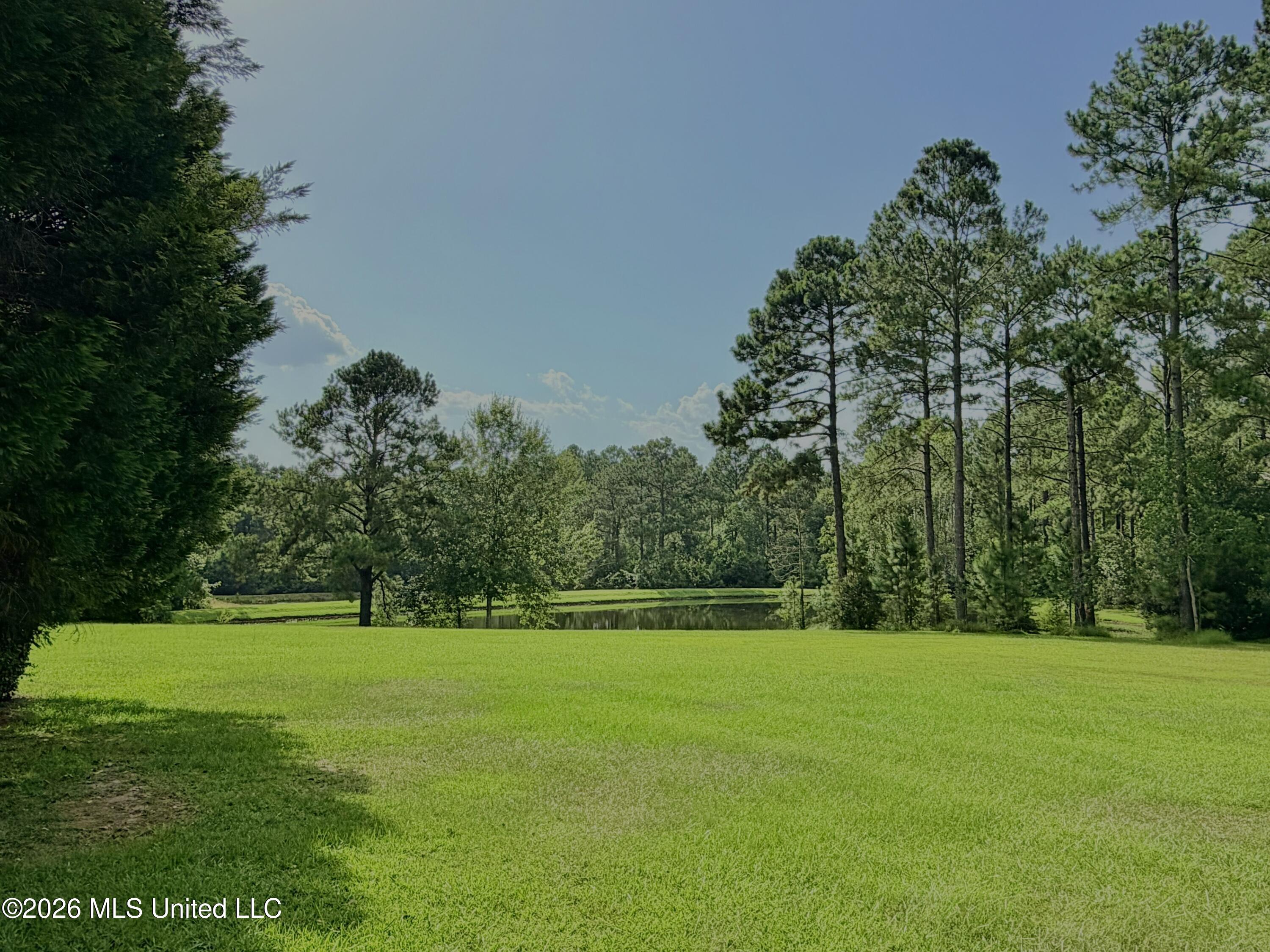 299 Quitman Perry Road Property Photo 67