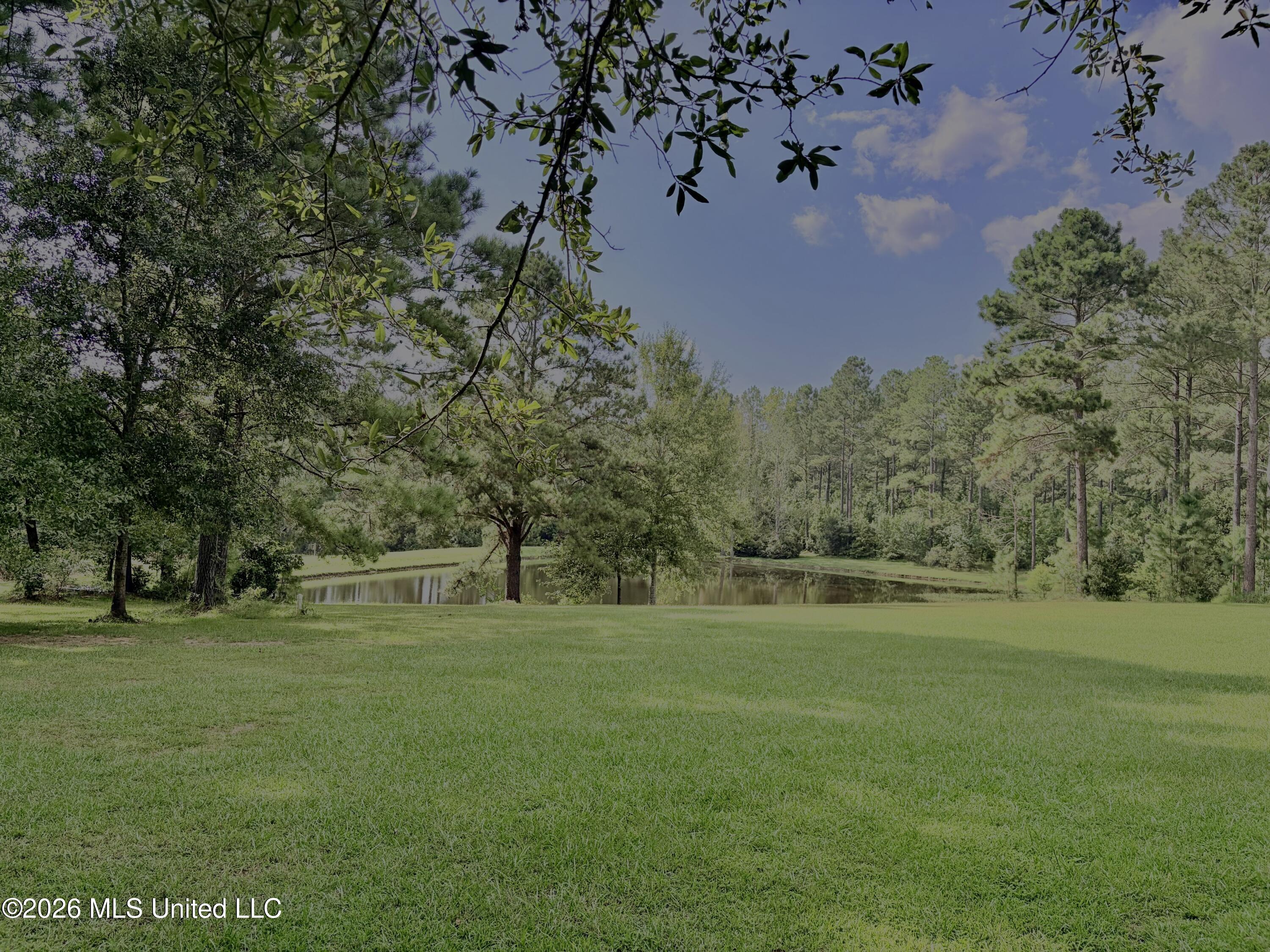 299 Quitman Perry Road Property Photo 68
