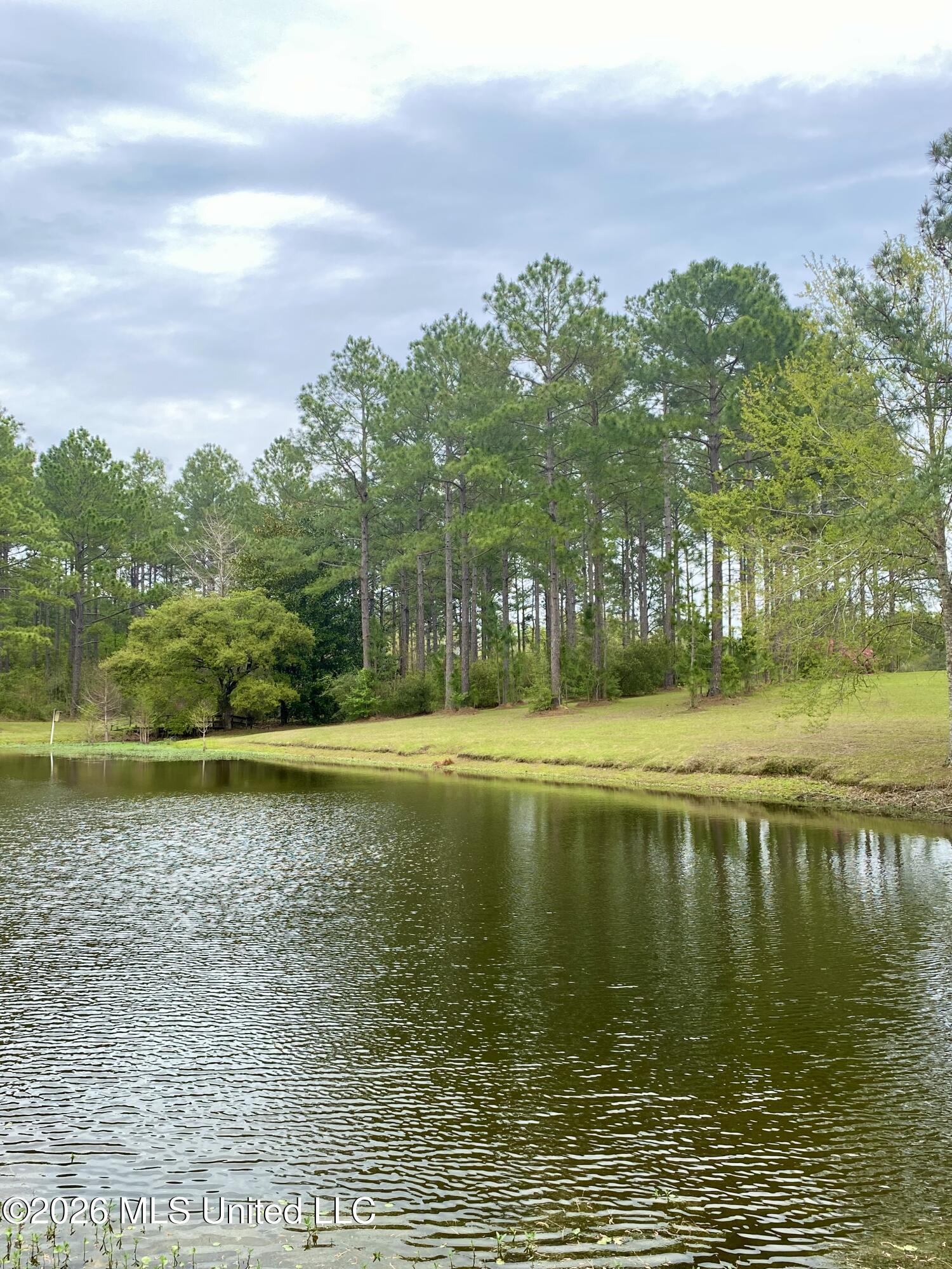 299 Quitman Perry Road Property Photo 69