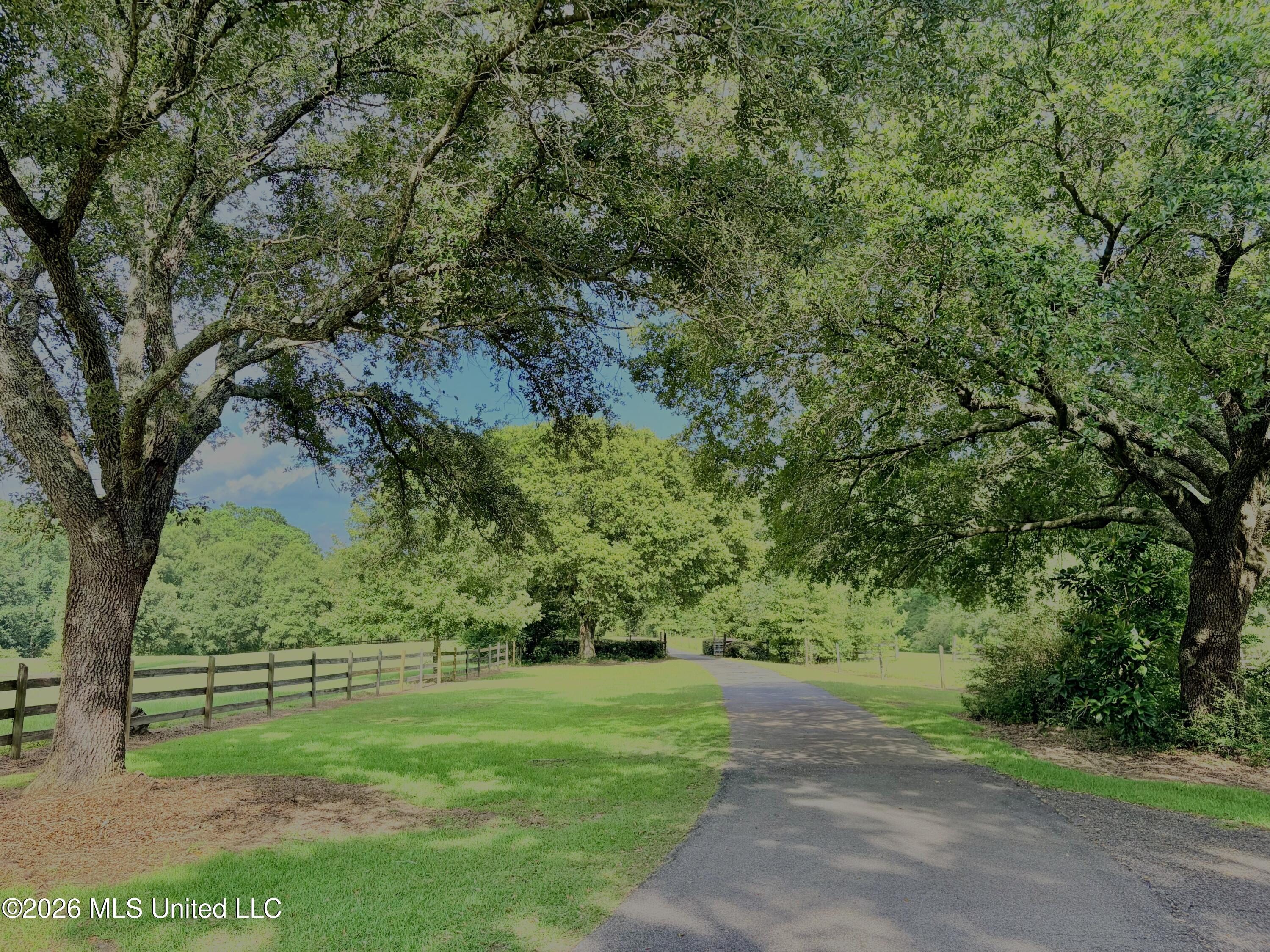 299 Quitman Perry Road Property Photo 73