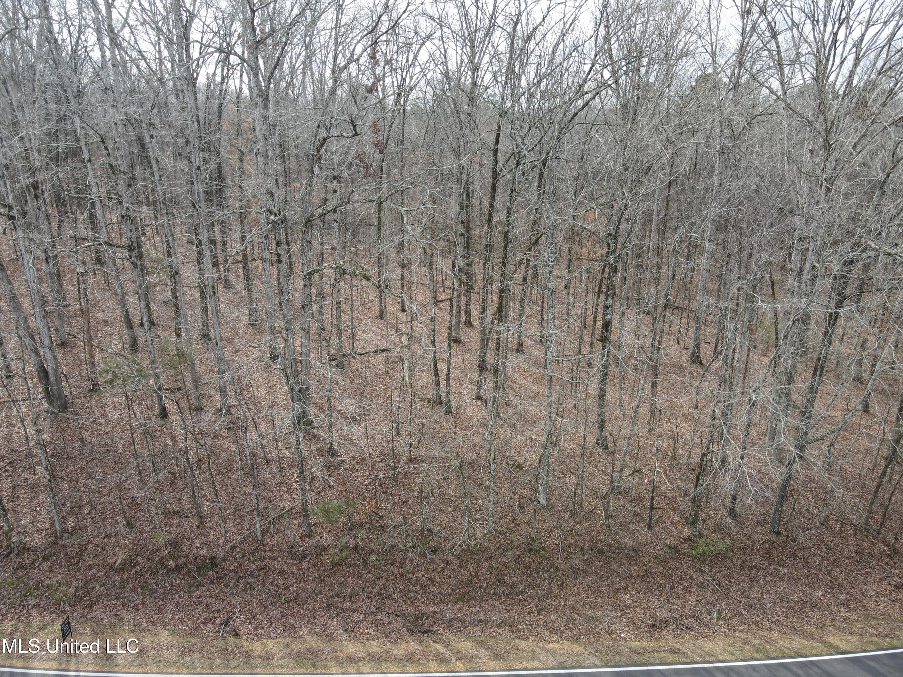 Woolsey Road Property Photo 3