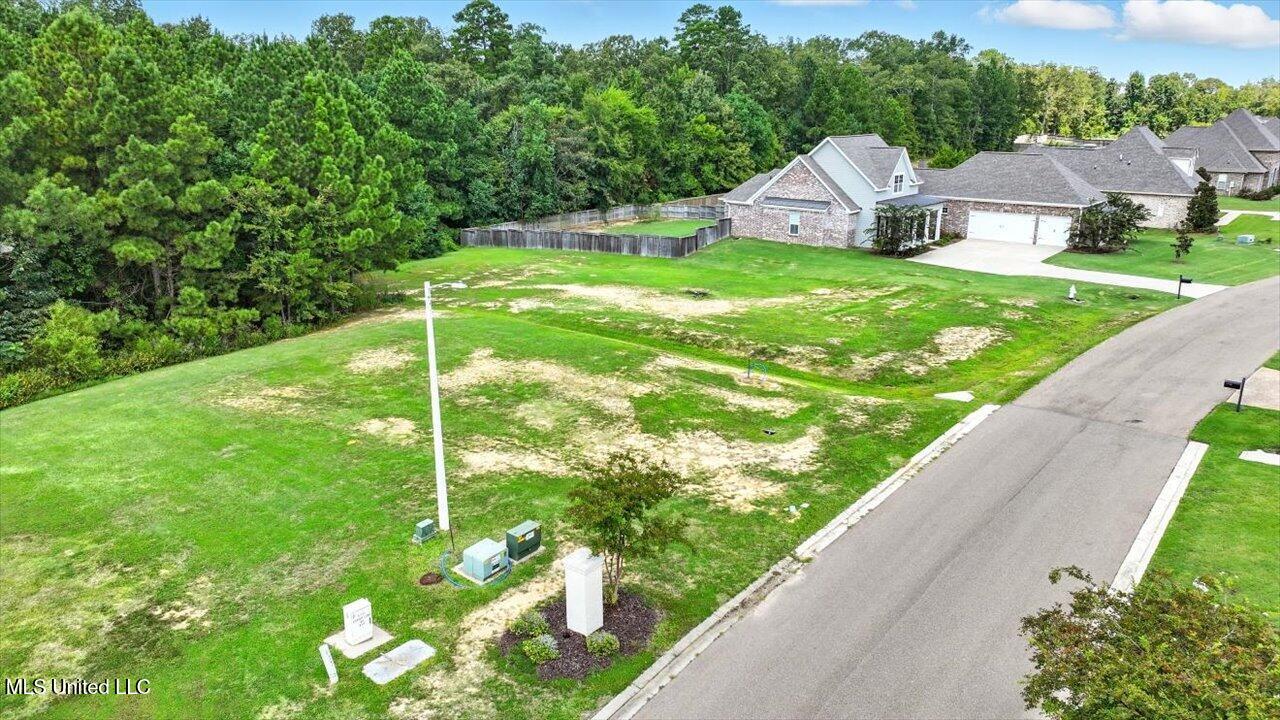 Asbury Lane Drive Property Photo 6