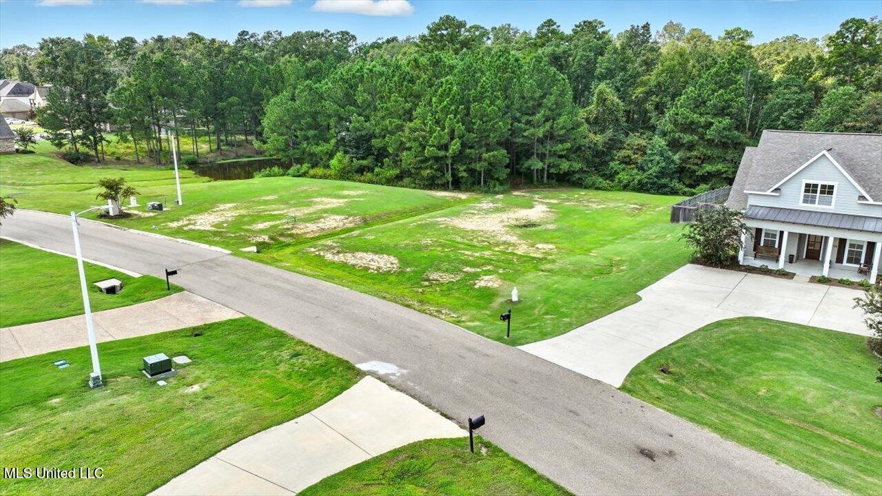 Asbury Lane Drive Property Photo 8