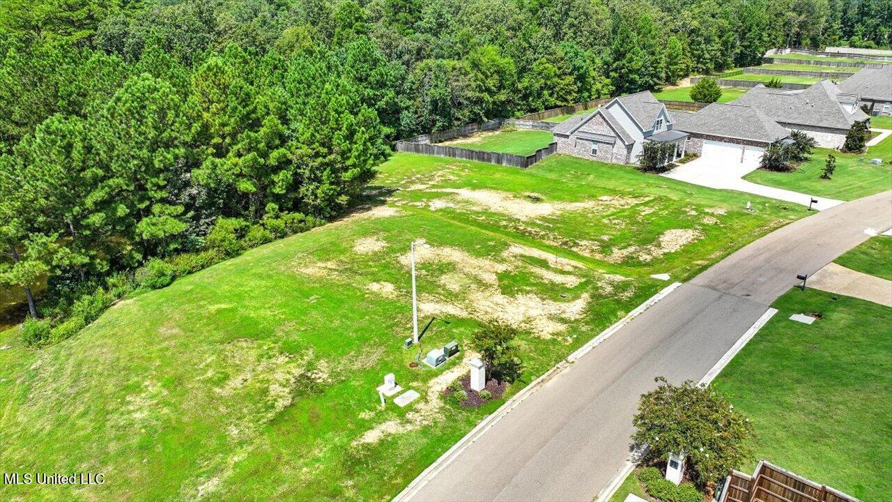 Asbury Lane Drive Property Photo 11