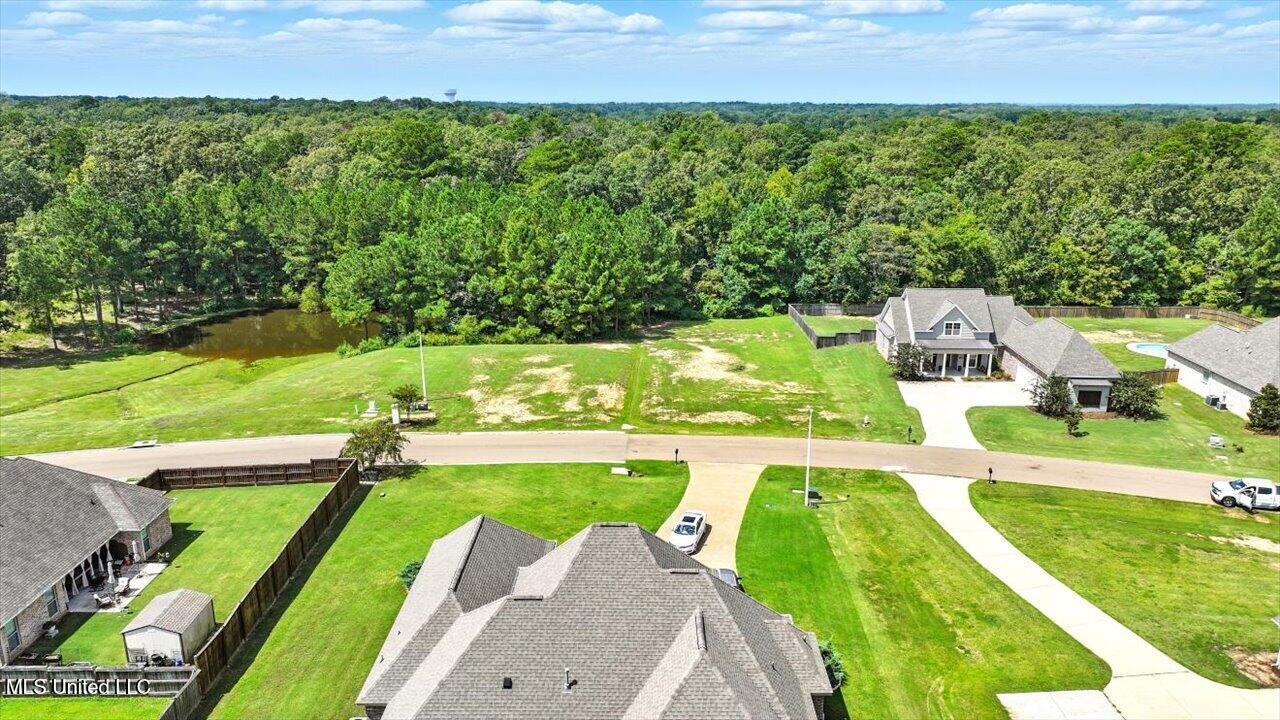 Asbury Lane Drive Property Photo 13