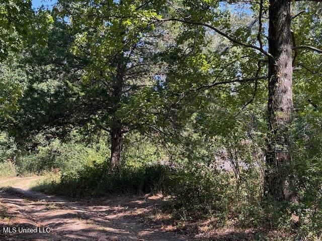 1620 Gwynn Road Property Photo 3