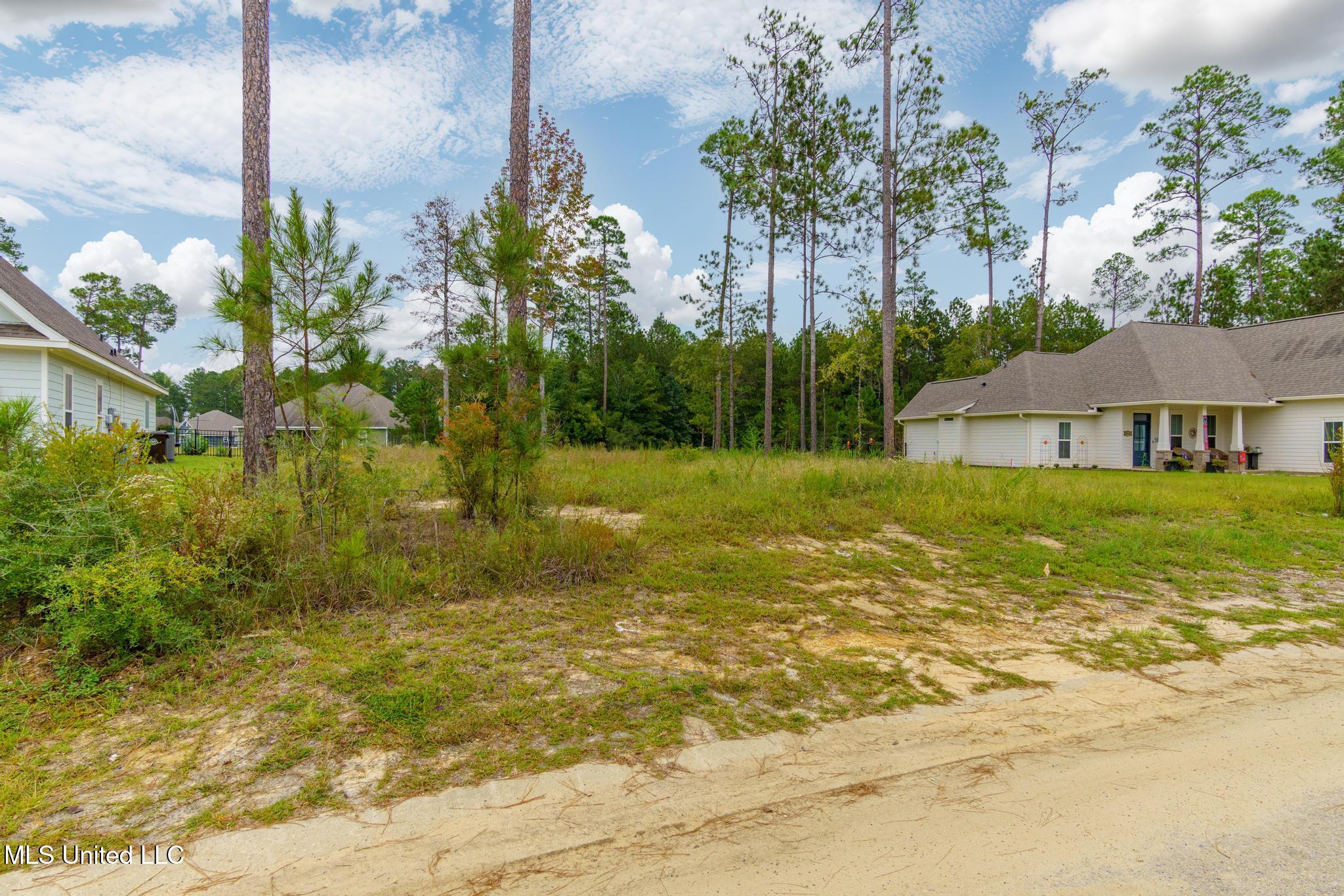 Lot 98 S South Founders Way Property Photo 8