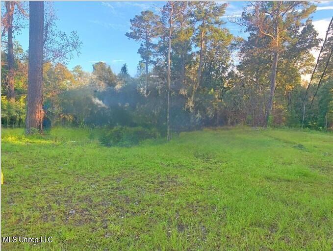 1106 Harrison Drive Property Photo 1