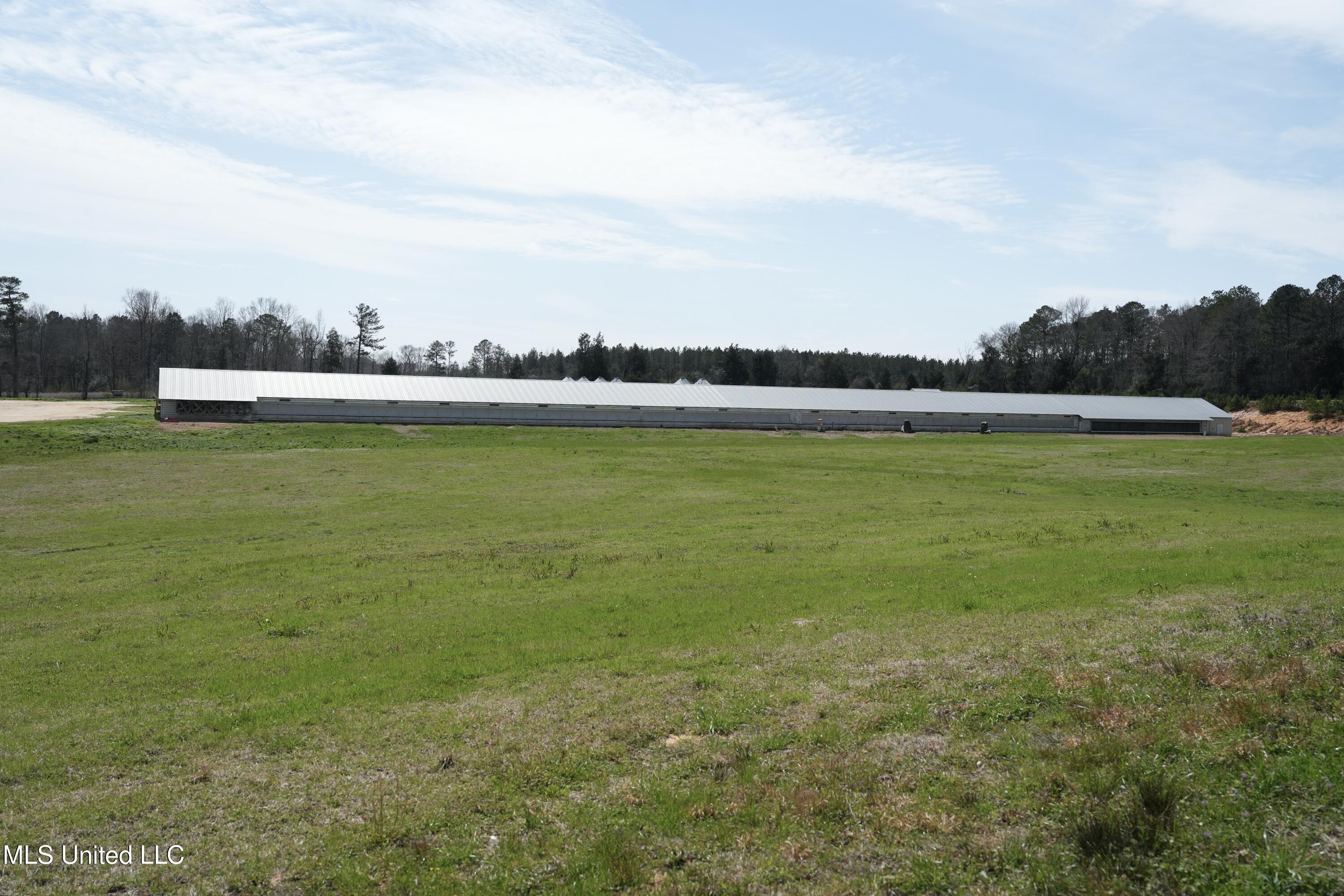 595 Mt Zion Road Property Photo 7
