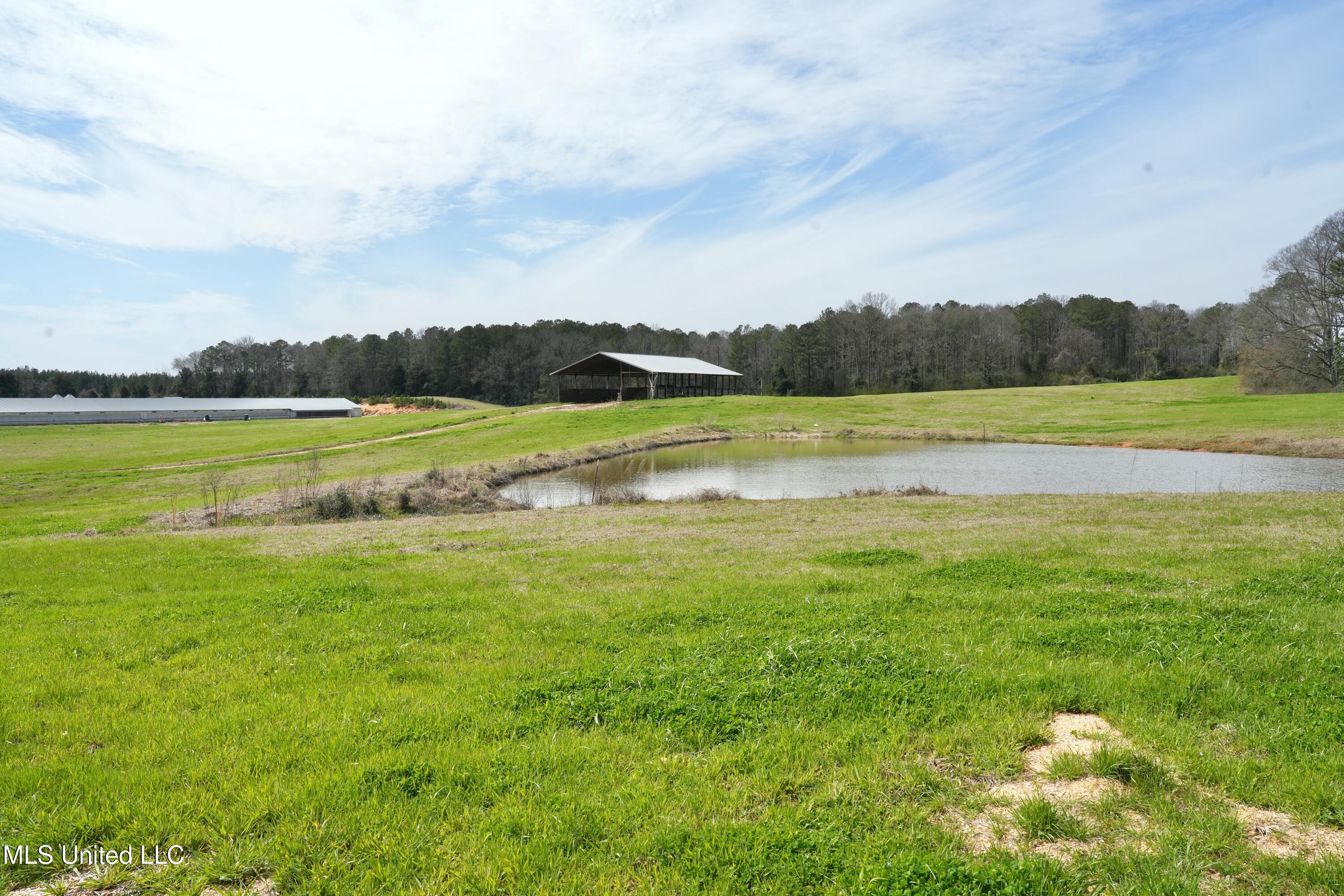 595 Mt Zion Road Property Photo 33