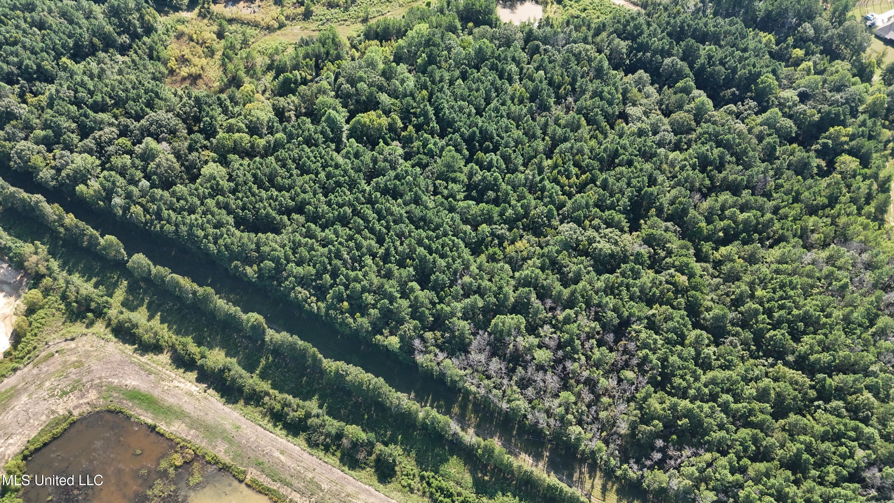 Fallen Oak Drive Property Photo 4