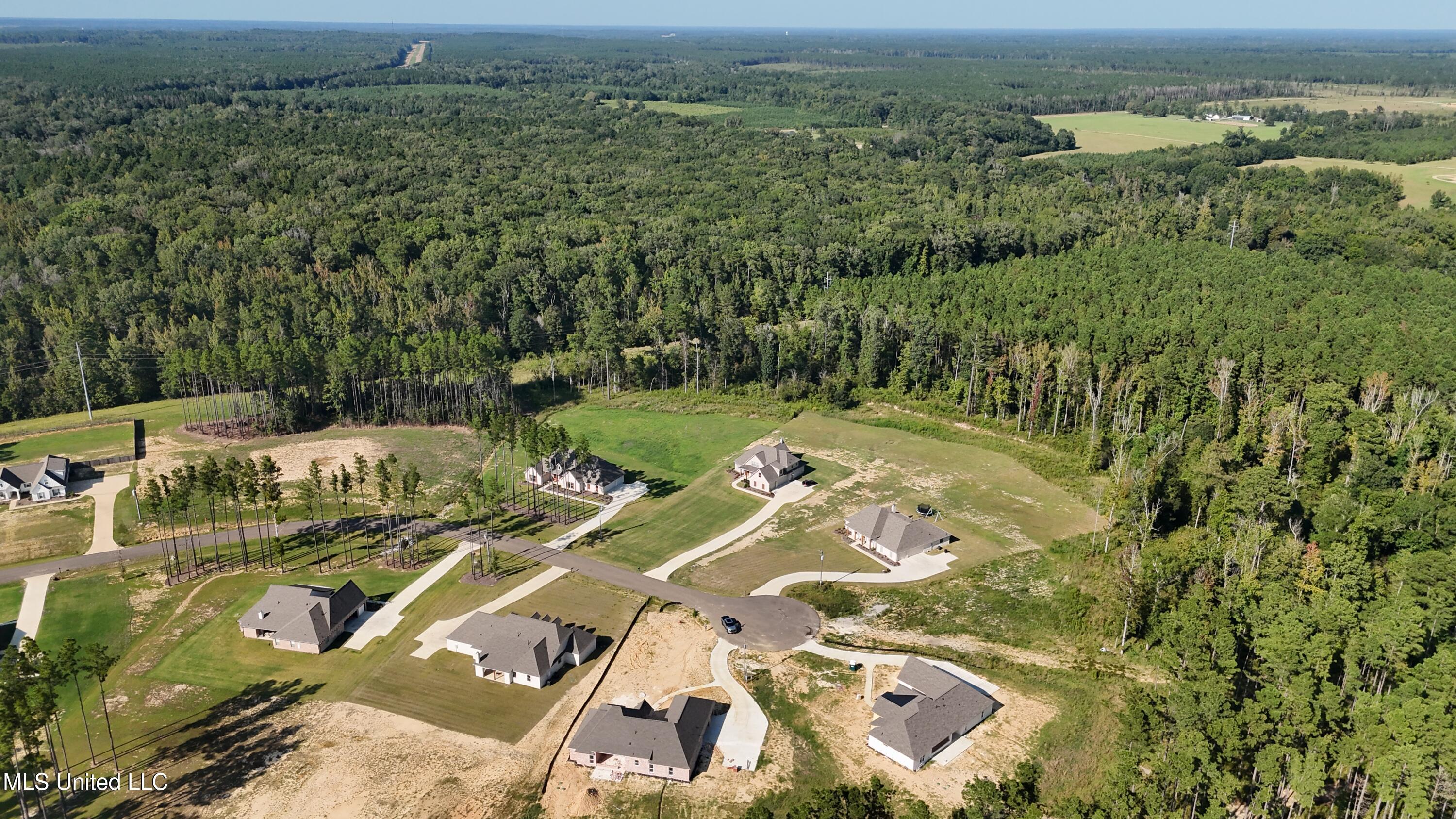 Fallen Oak Drive Property Photo 15