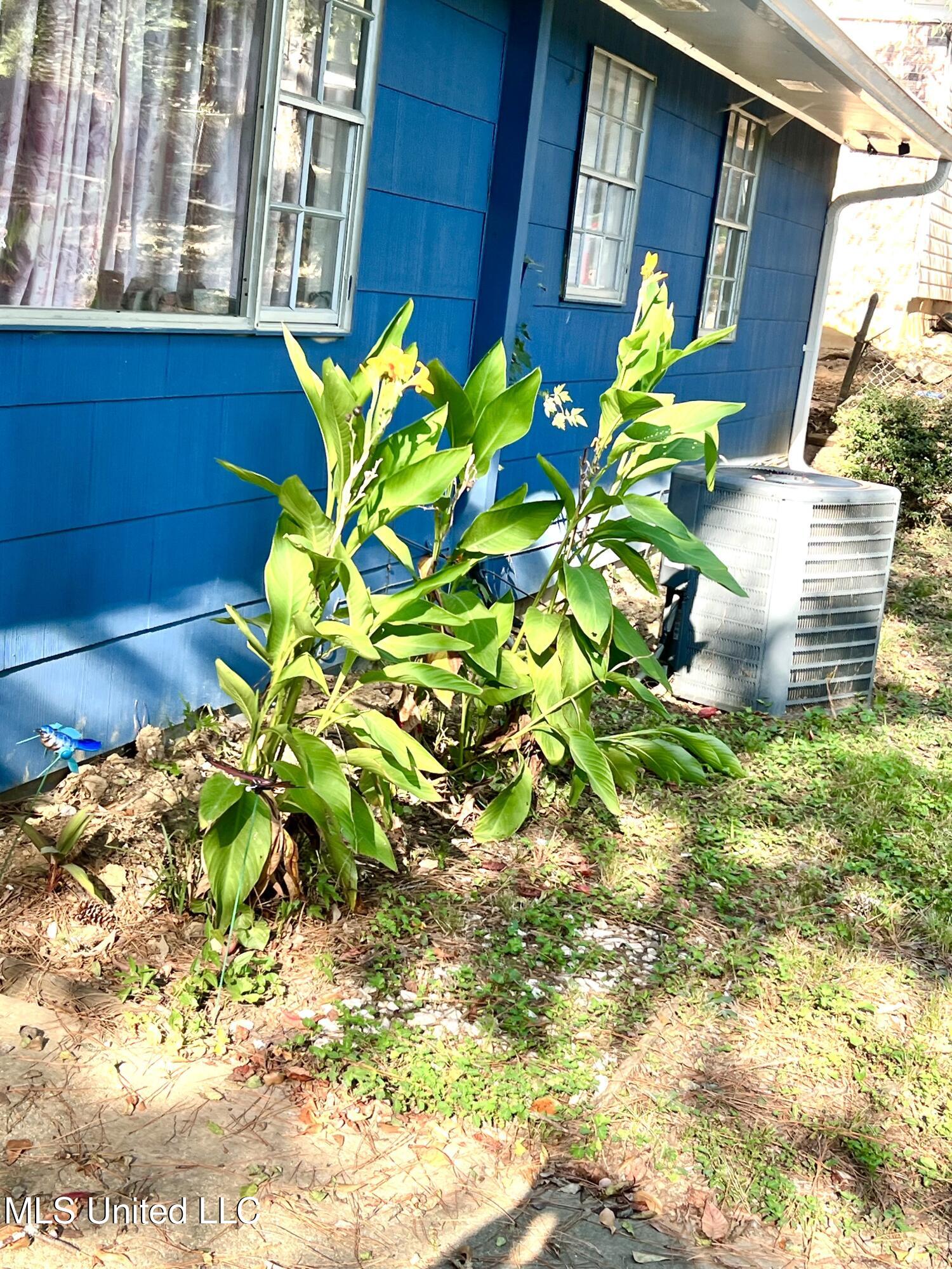 1275 Dorgan Street Property Photo 13