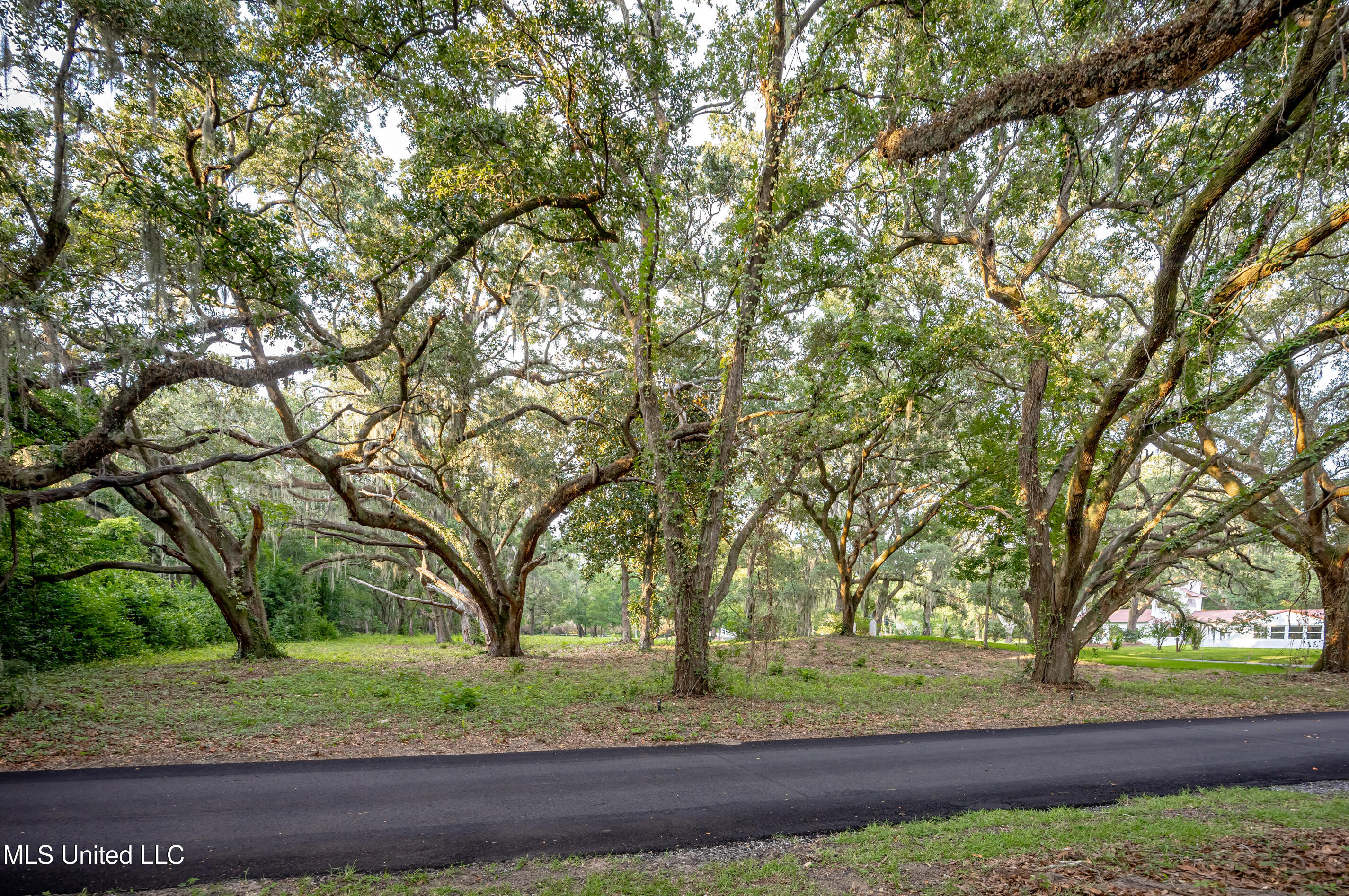 Lot 3 Pointe Aux Chenes Property Photo 1