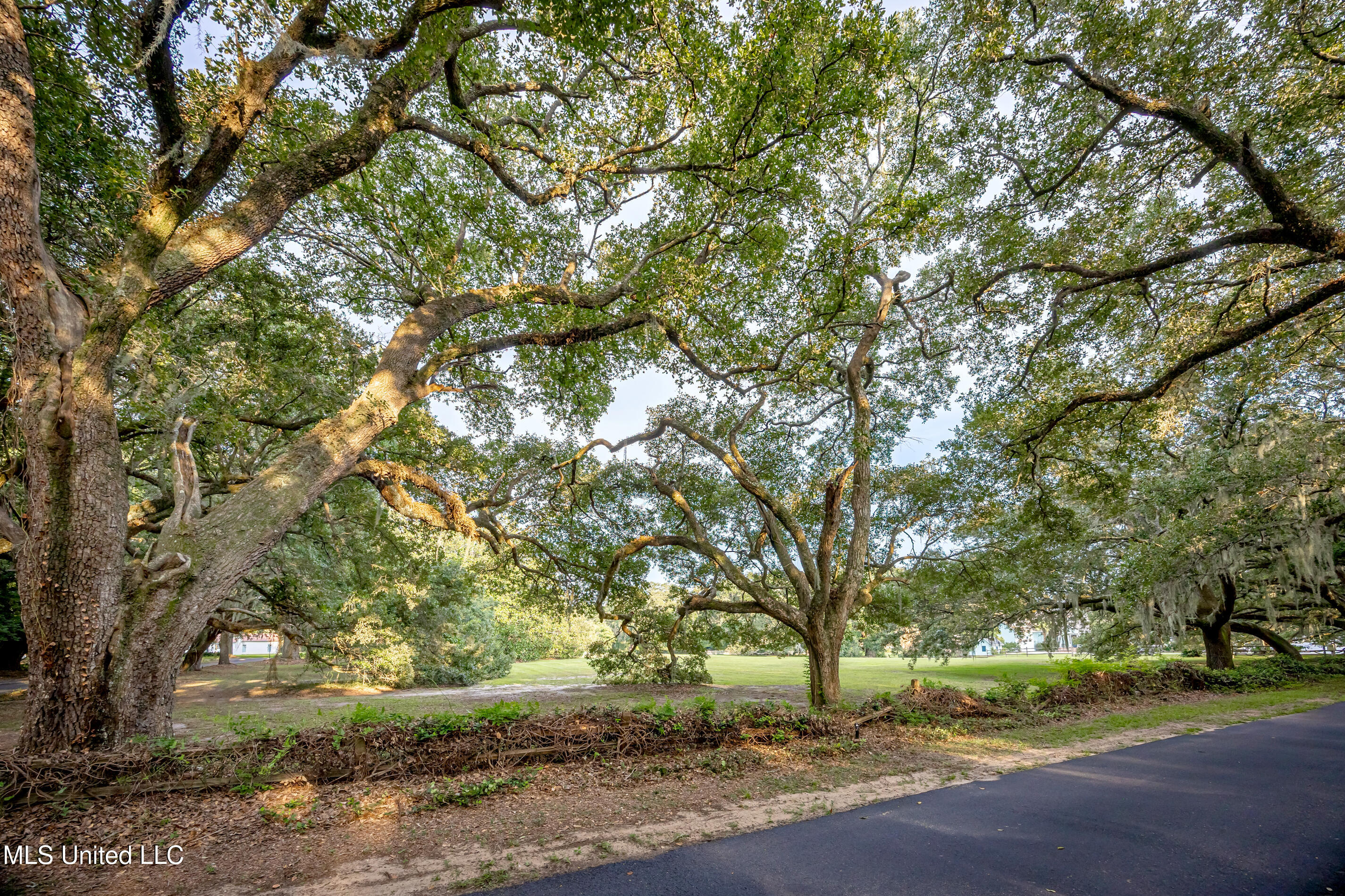 Lot 7 Pointe Aux Chenes Property Photo 2