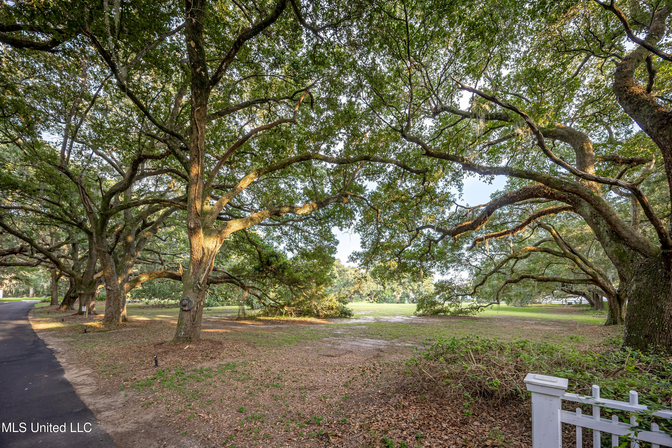 Lot 7 Pointe Aux Chenes Property Photo 14