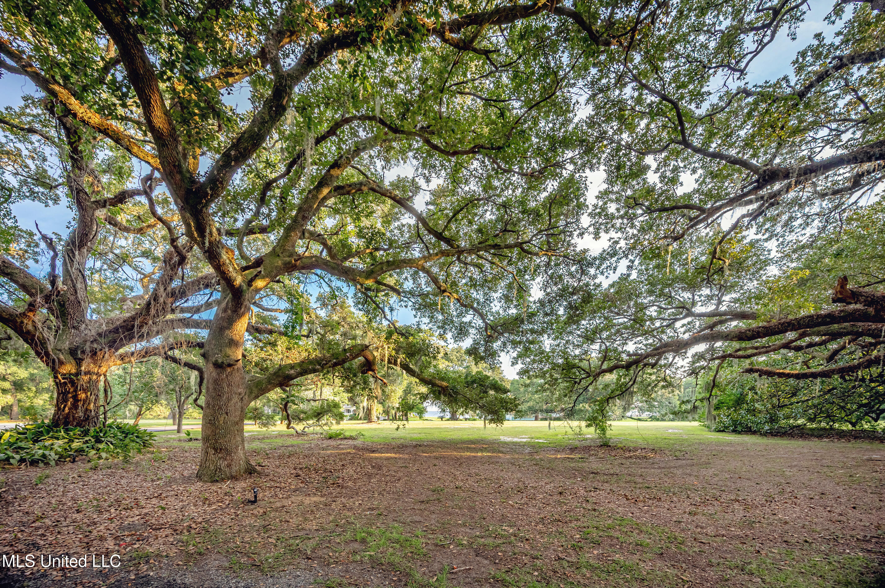 Lot 7 Pointe Aux Chenes Property Photo 25