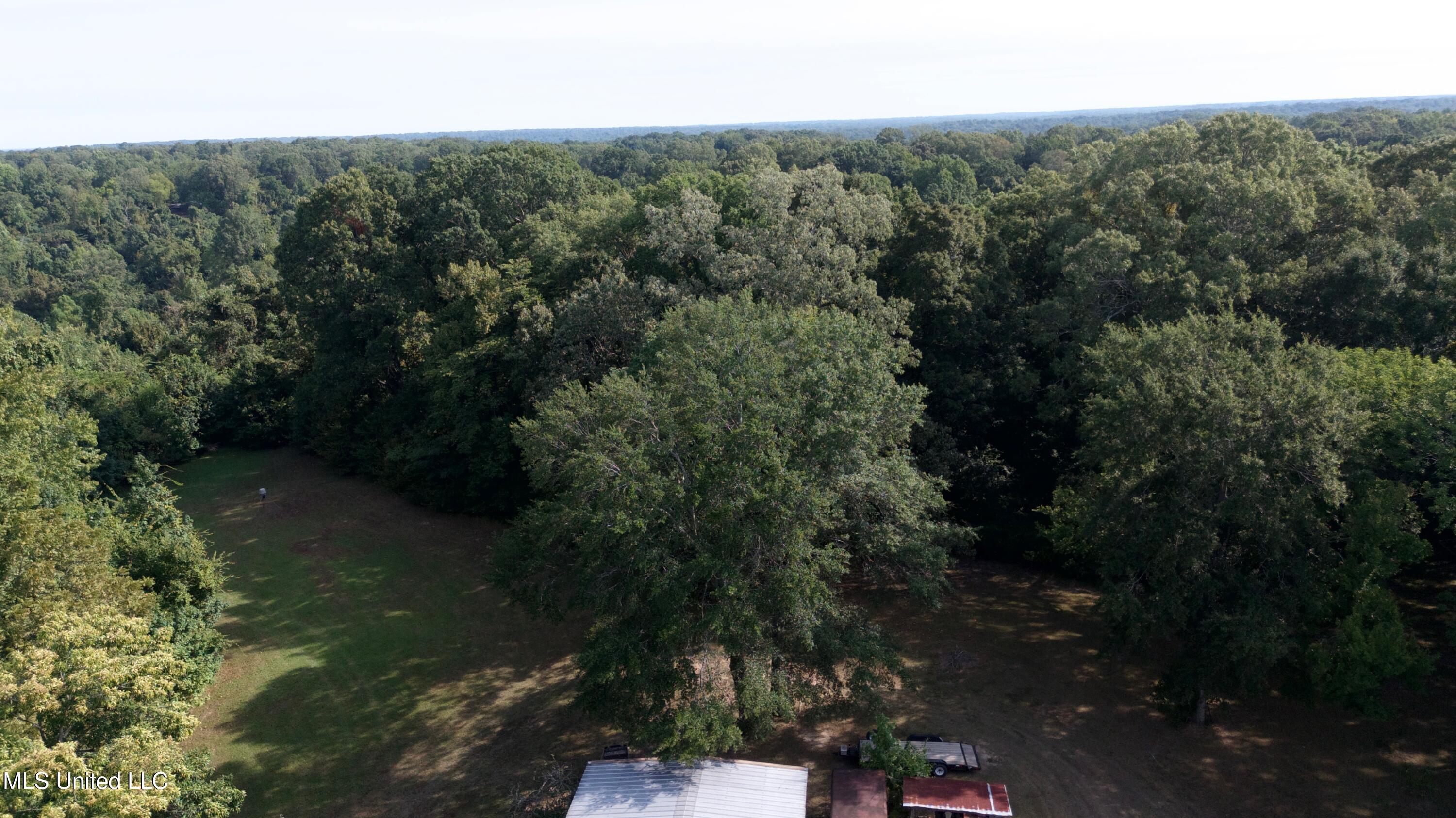 8890 Old Highway 49 Property Photo 18