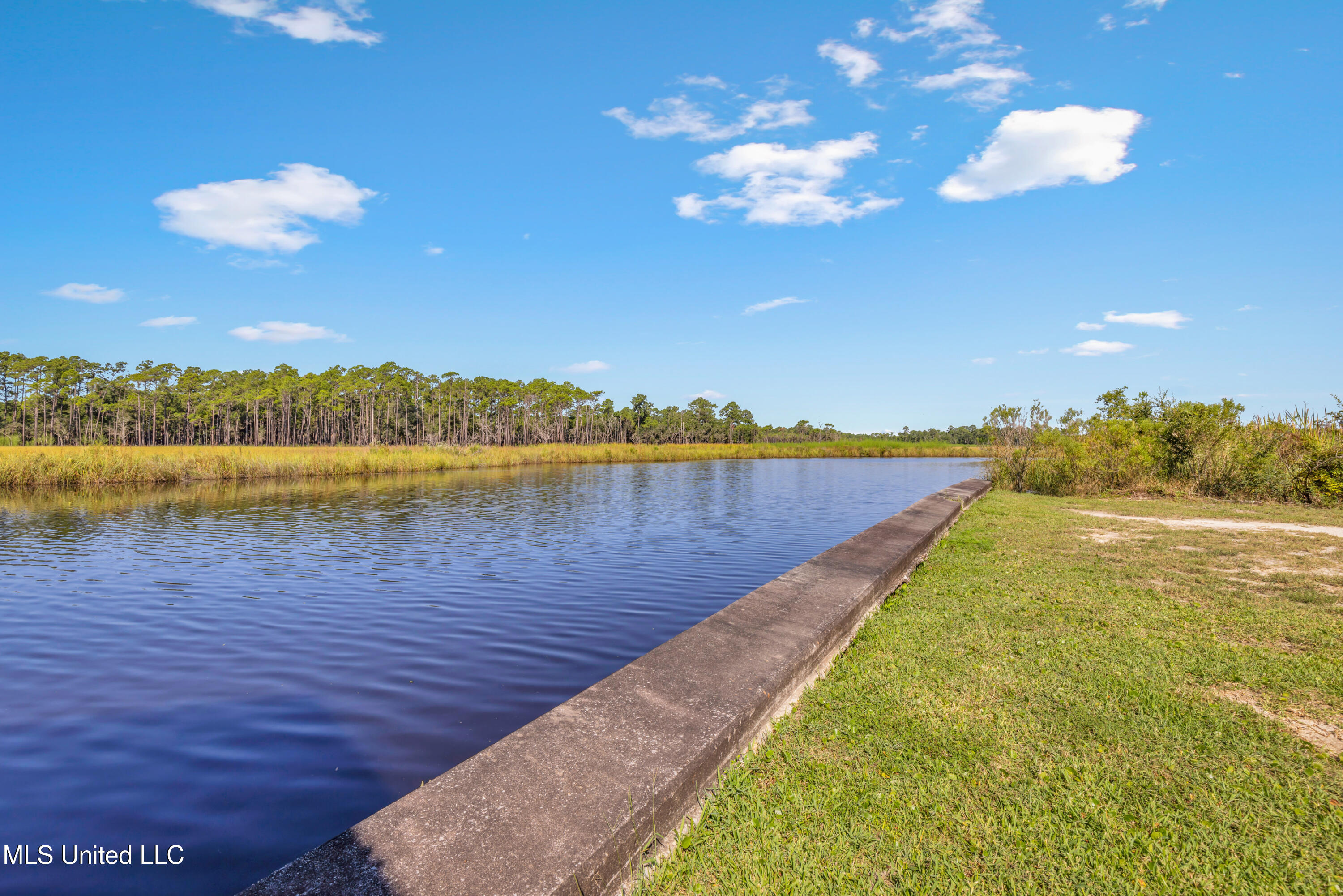 10125 Choctaw Drive Property Photo 8