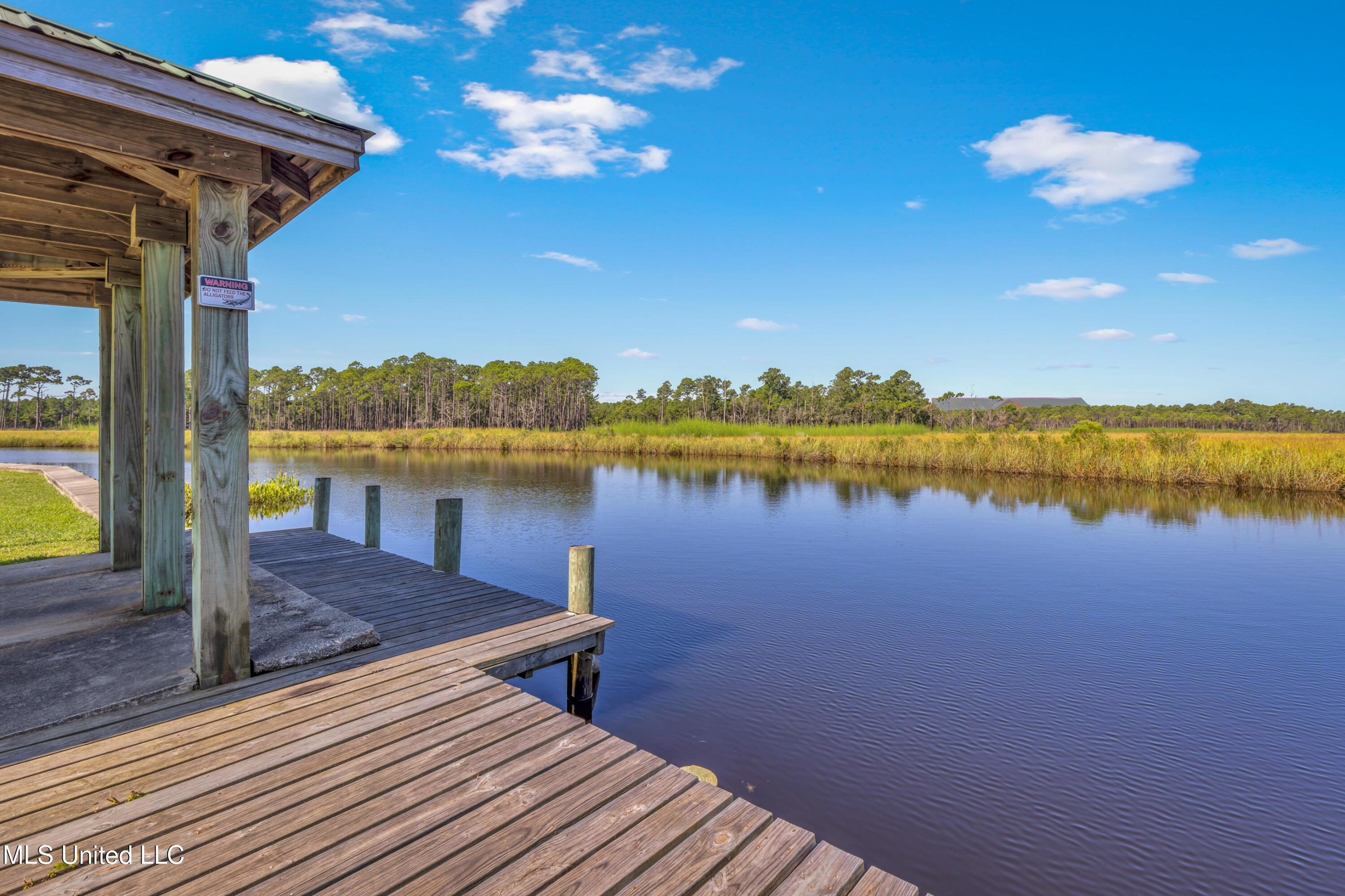 10125 Choctaw Drive Property Photo 44