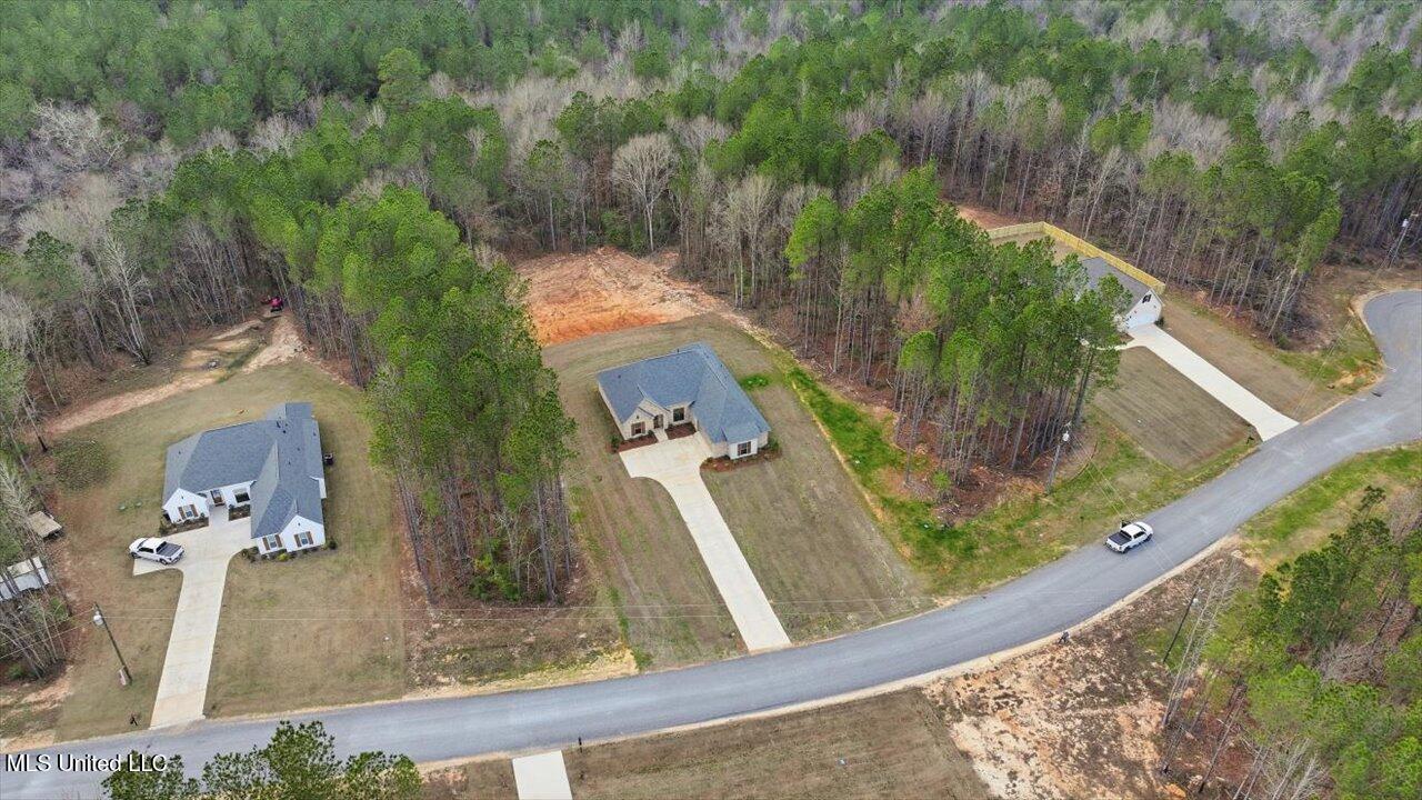 143 Ashwood Lane Property Photo 46