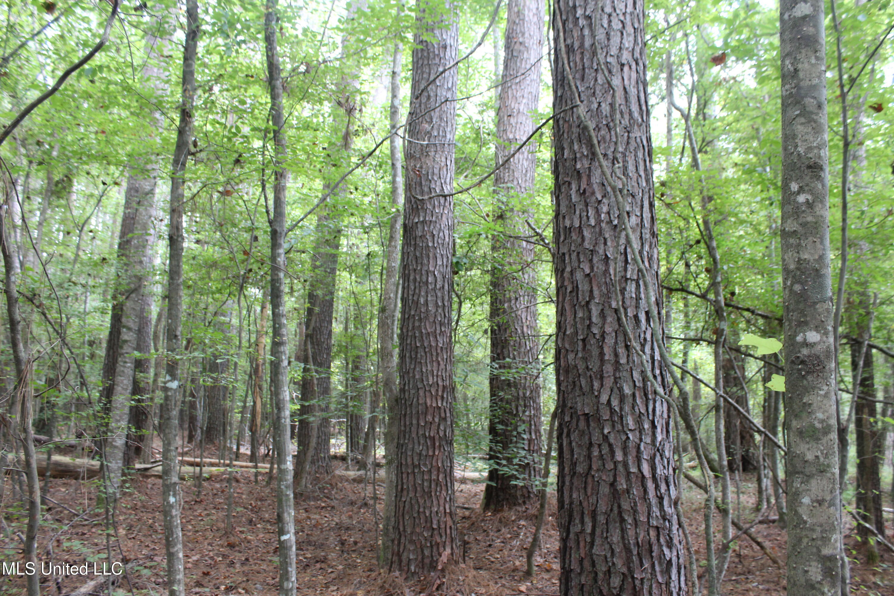Ne Hopewell Road Property Photo 2