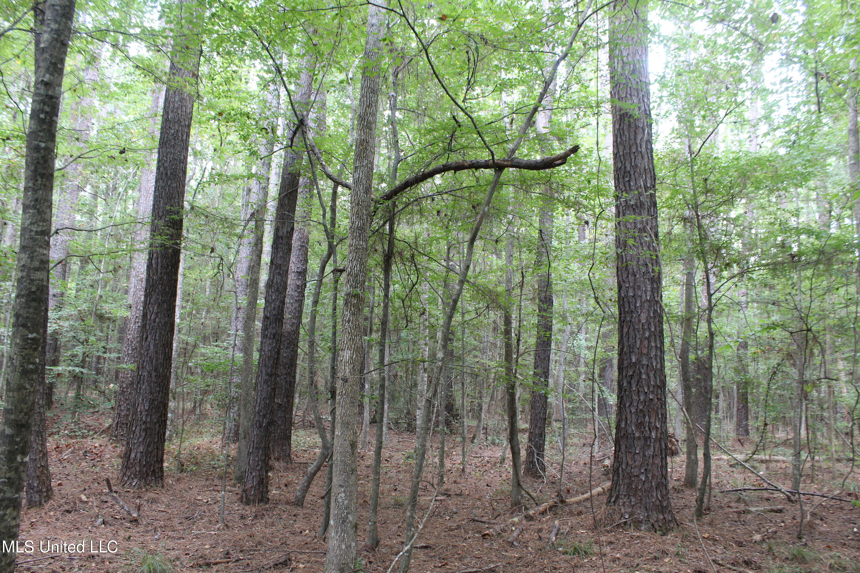 Ne Hopewell Road Property Photo 3