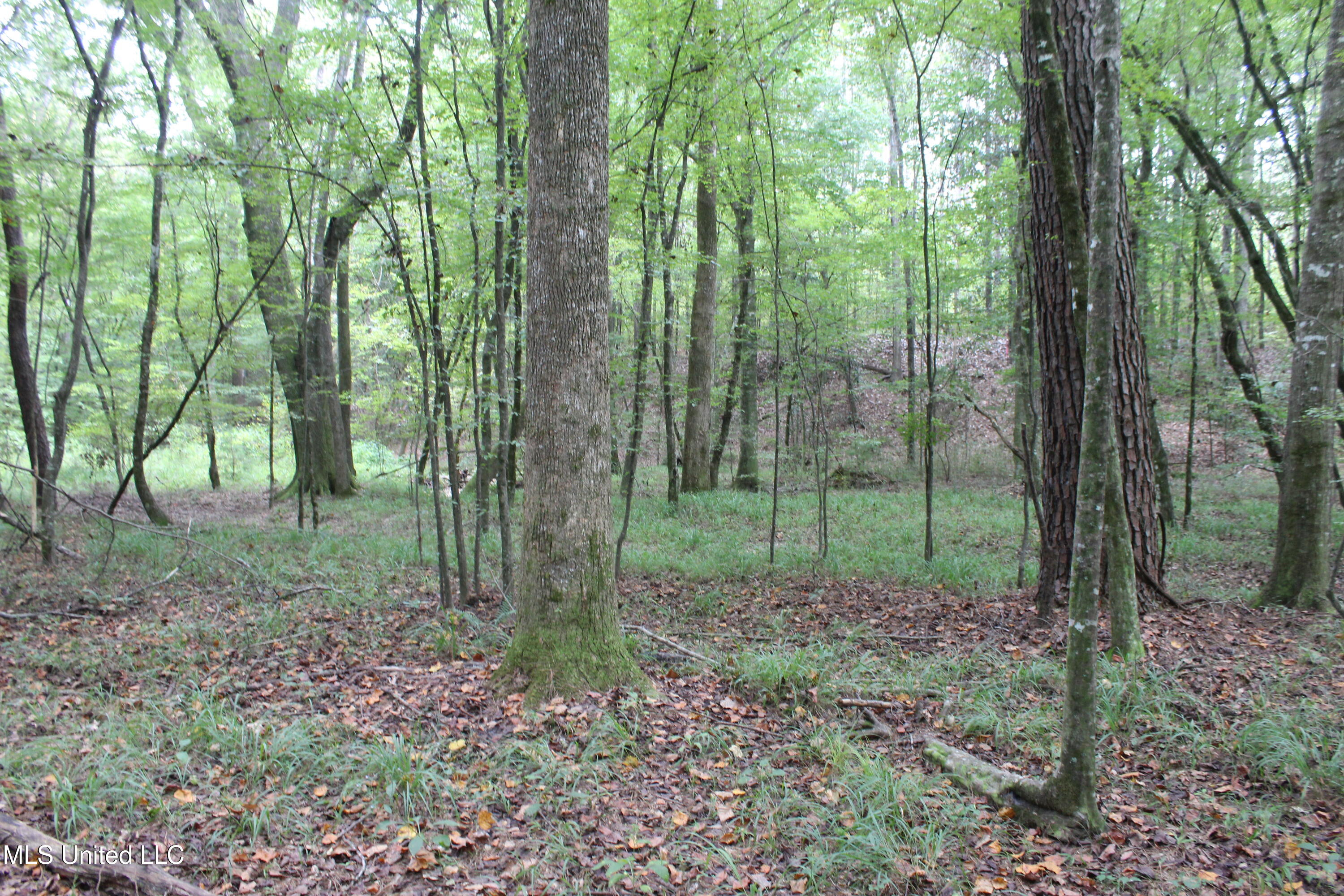 Ne Hopewell Road Property Photo 4