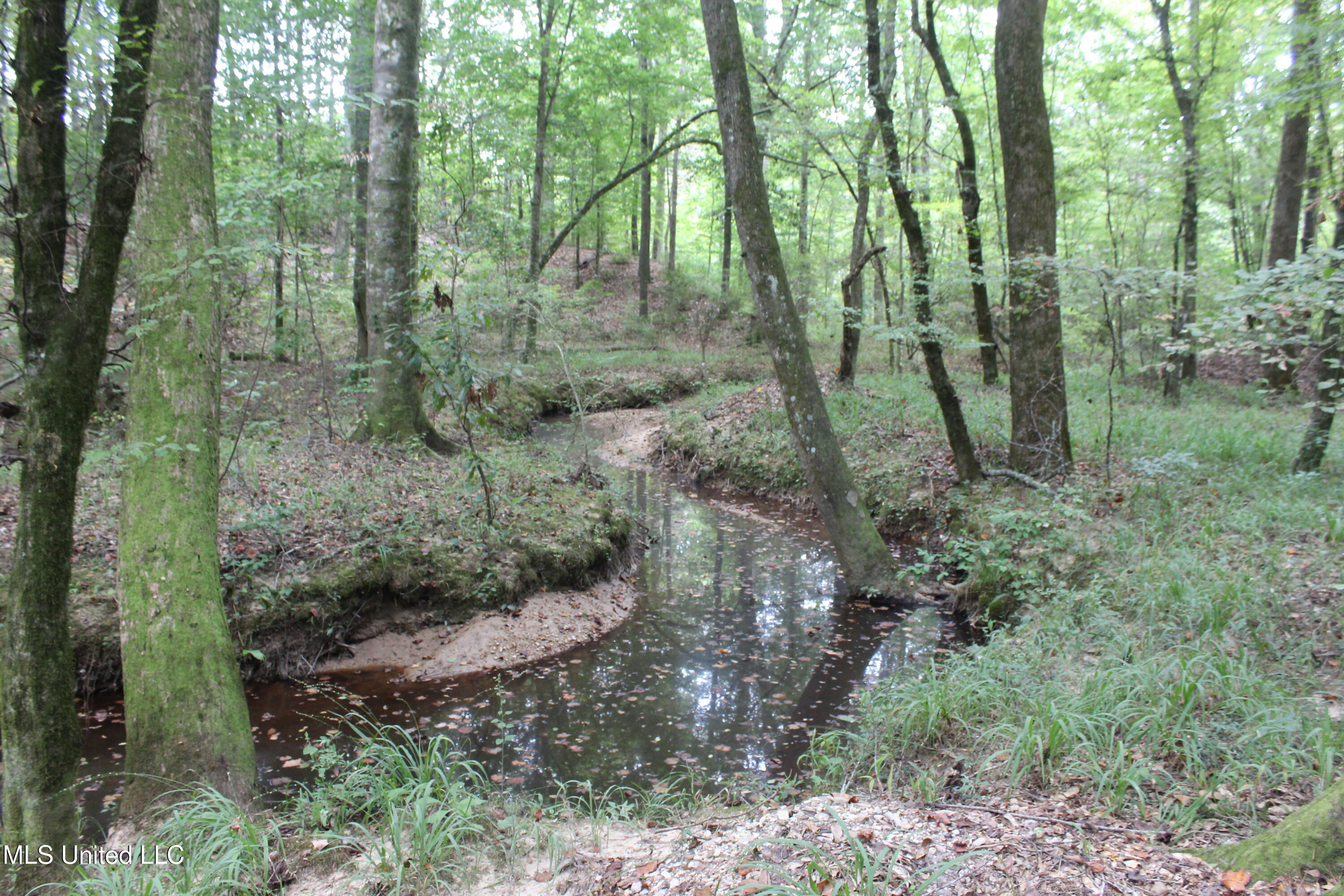 Ne Hopewell Road Property Photo 5