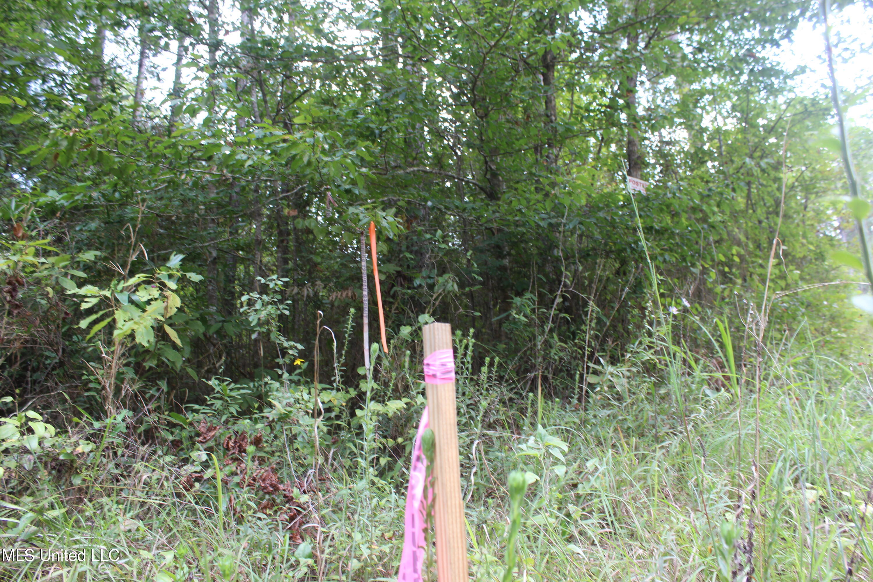 Ne Hopewell Road Property Photo 12