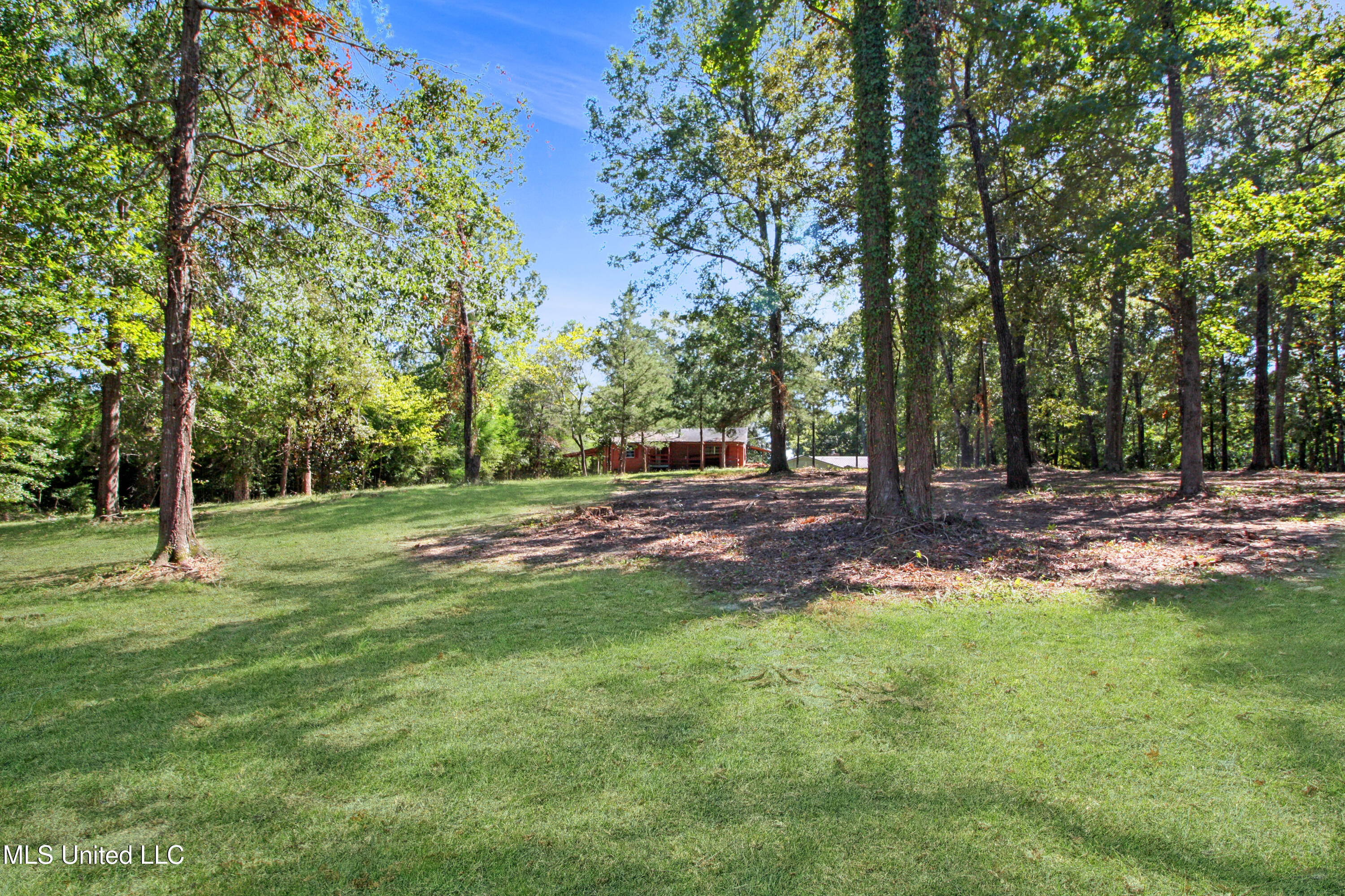 5447 Highway 80 Property Photo 2