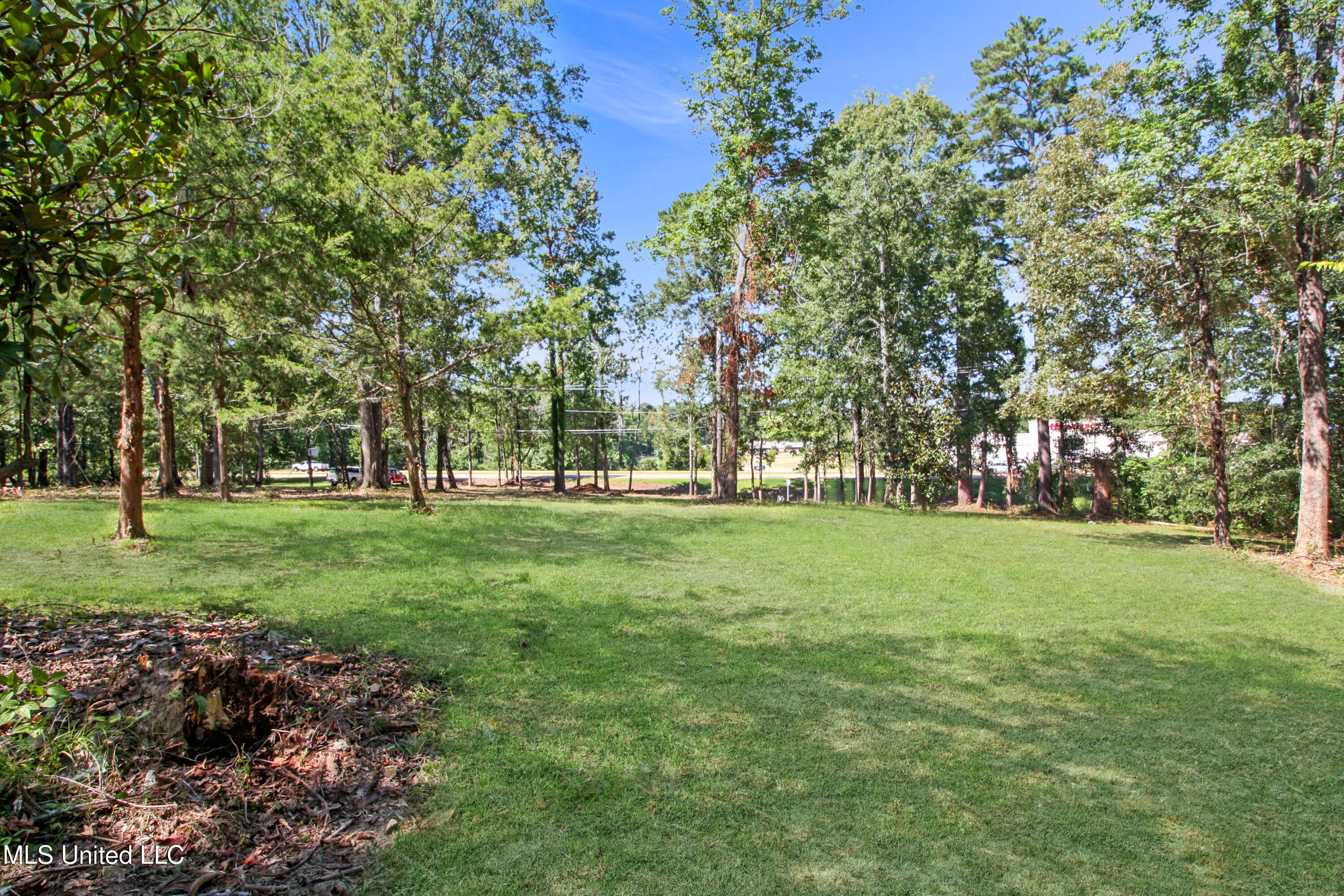 5447 Highway 80 Property Photo 4