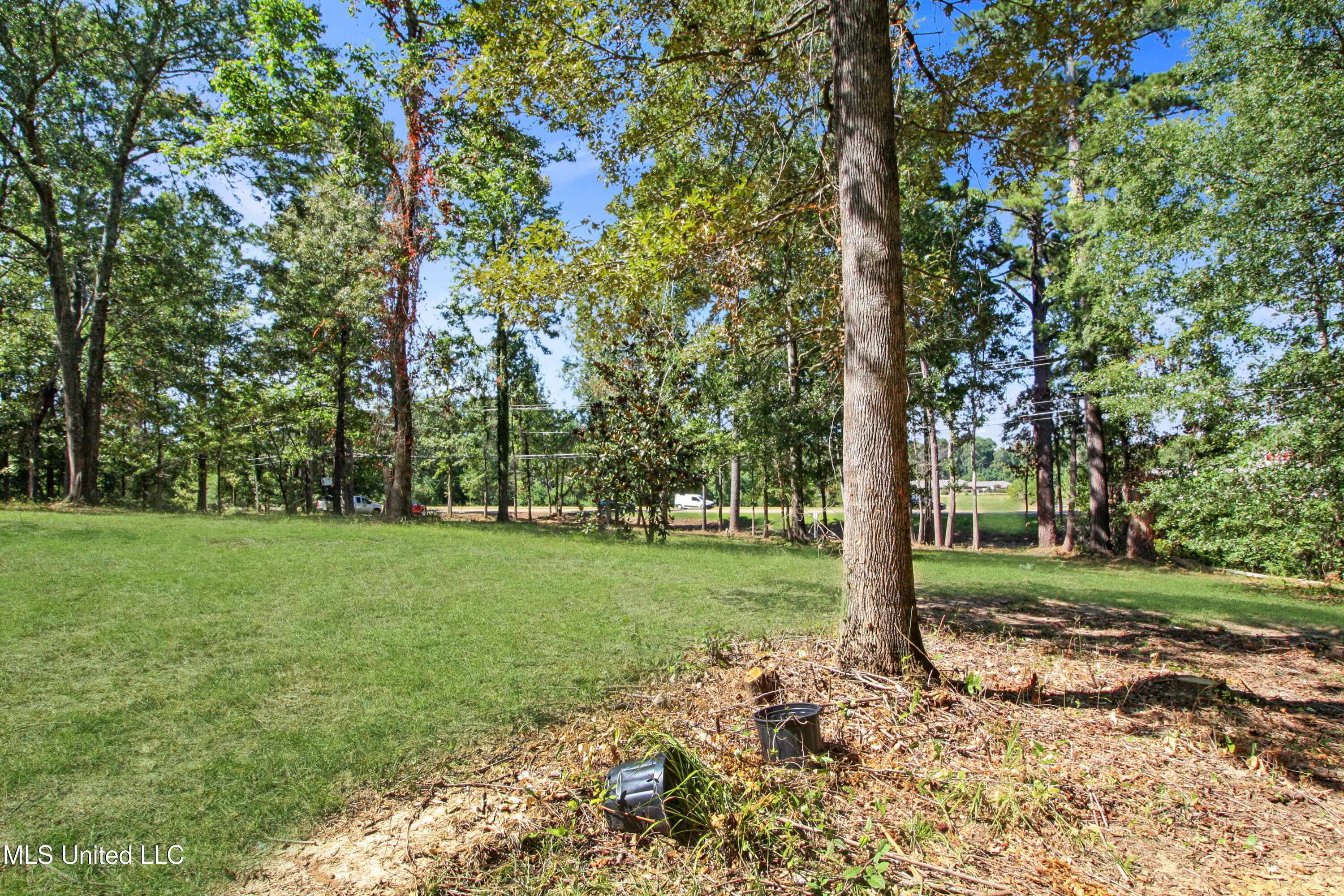 5447 Highway 80 Property Photo 5