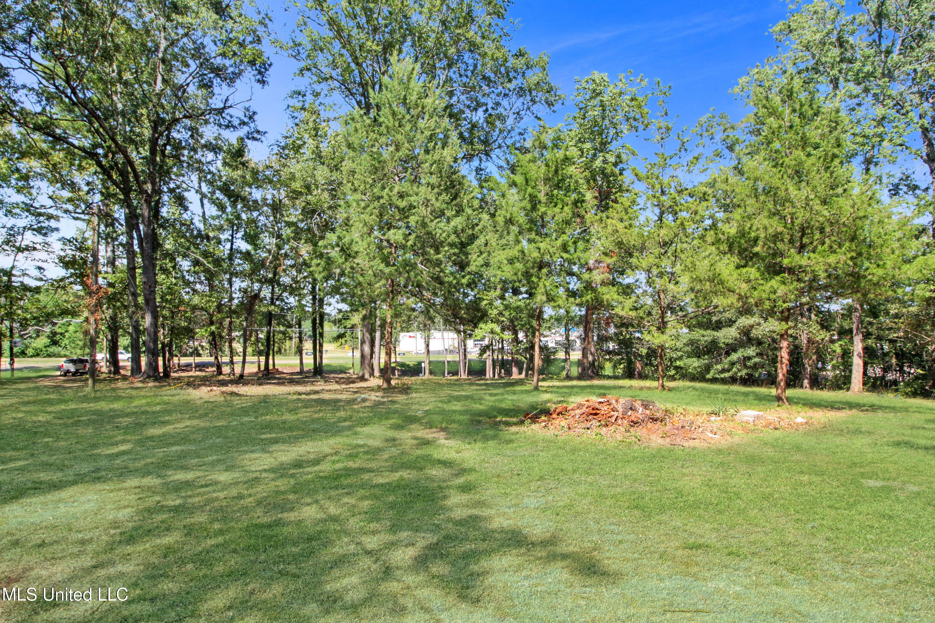 5447 Highway 80 Property Photo 6