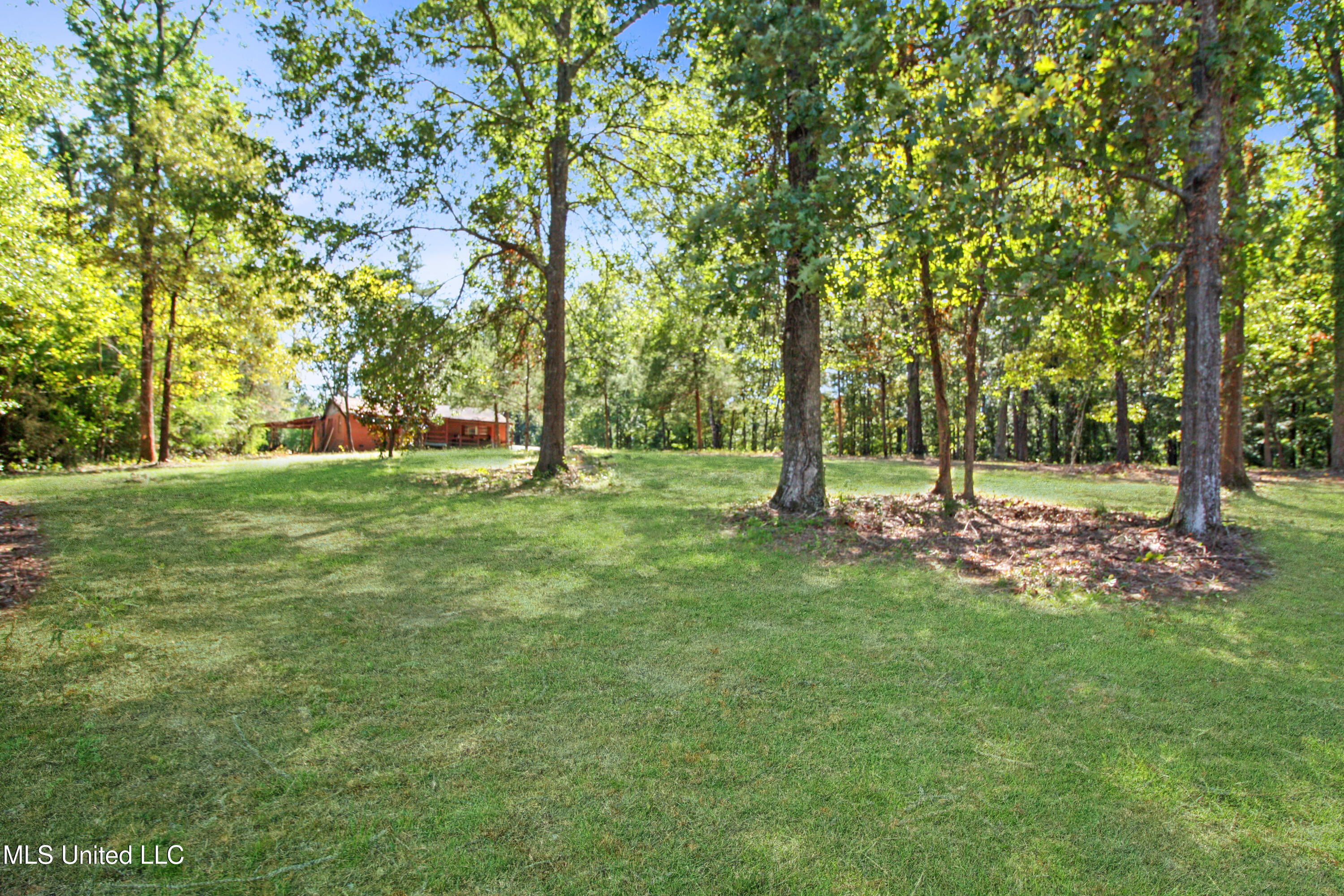 5447 Highway 80 Property Photo 8