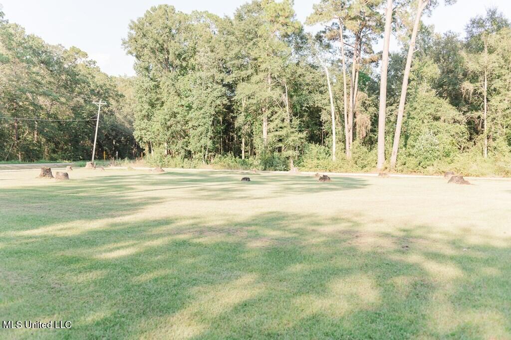 2467 S Highway 43 S Property Photo 39