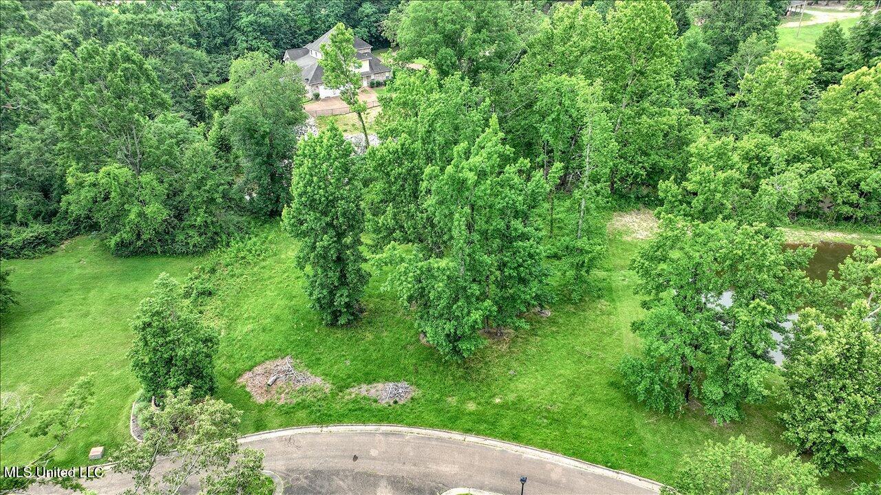 0 Hallmark Drive Property Photo 6