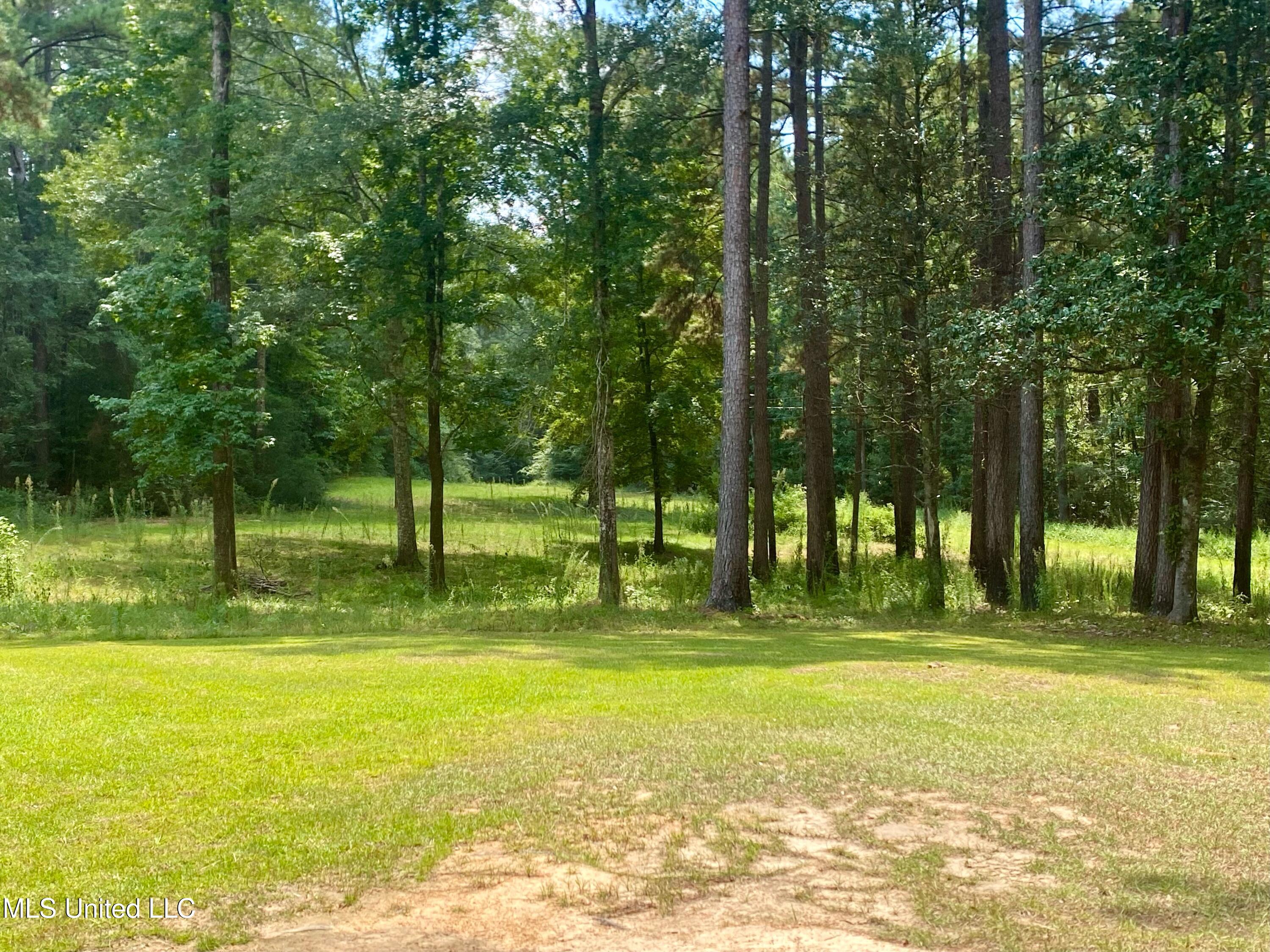 1024 Sabrina Drive Property Photo 3