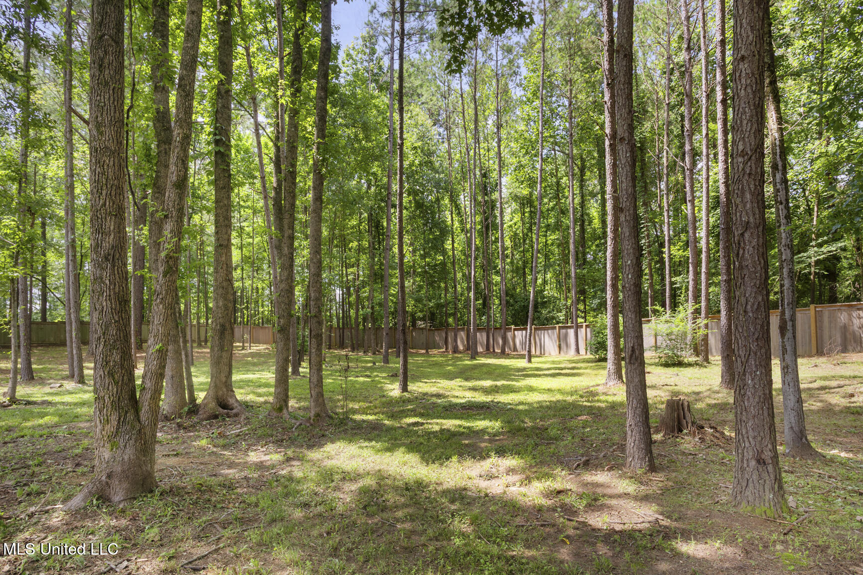 502 Cypress Cove Property Photo 37