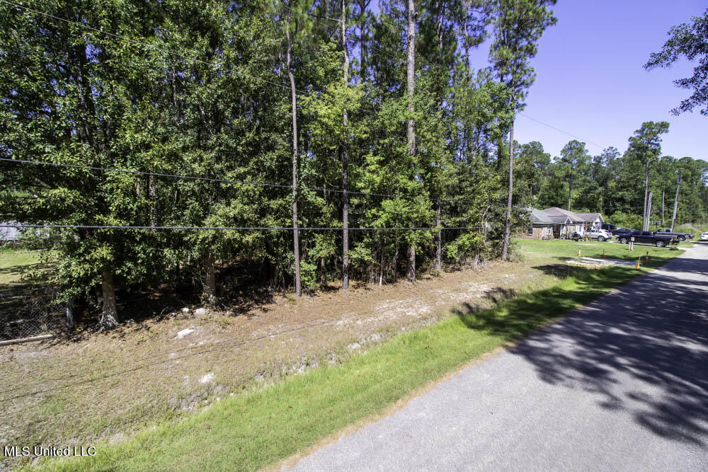 6090 Copiah Street Property Photo 31