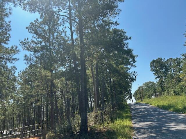 0 Charlie Rhodus Rd Property Photo 3