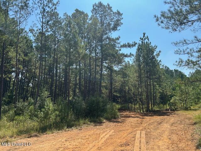 0 Charlie Rhodus Rd Property Photo 5