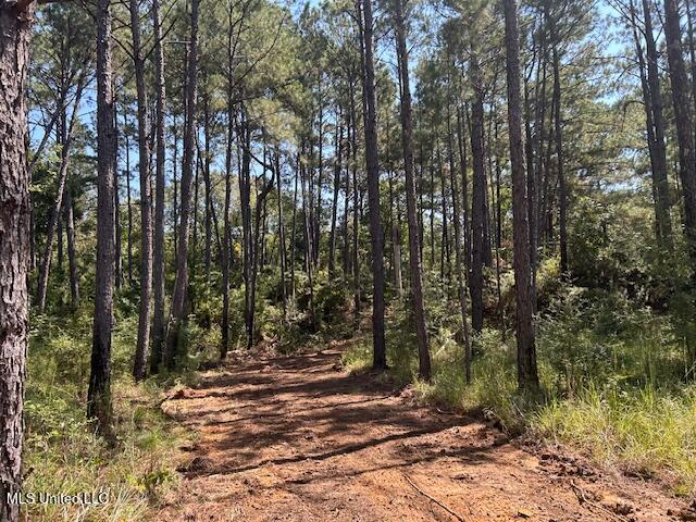 0 Charlie Rhodus Rd Property Photo 6