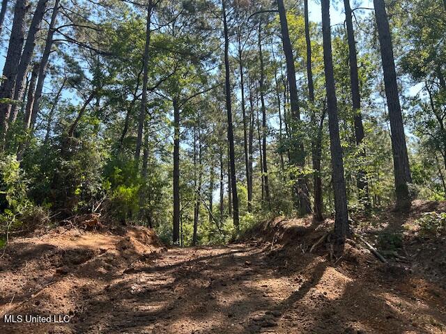 0 Charlie Rhodus Rd Property Photo 7