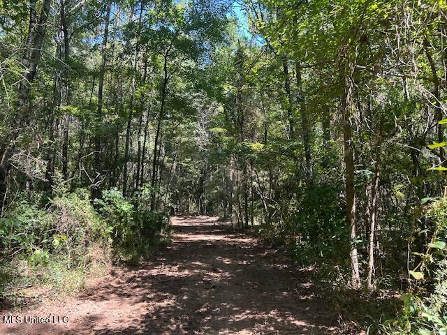 0 Charlie Rhodus Rd Property Photo 10